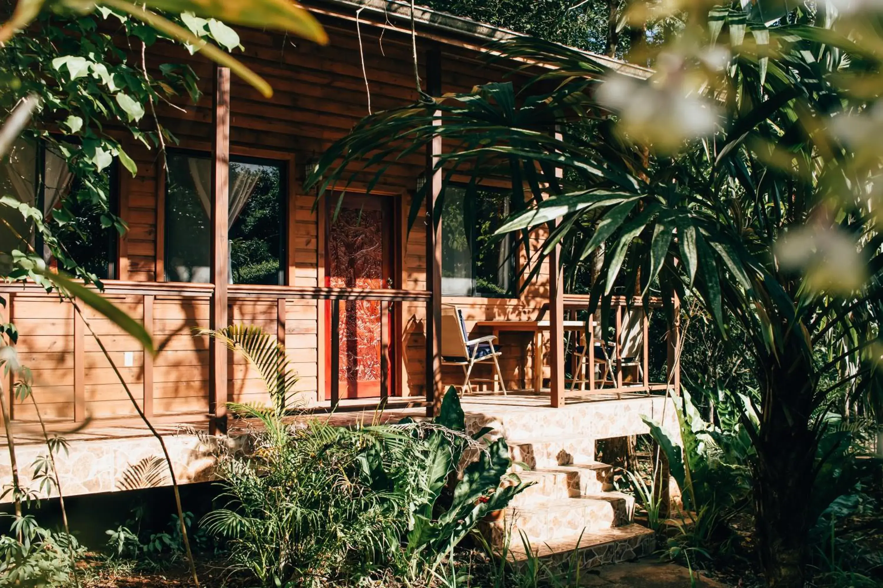 Executive Suite in Mariposa Jungle Lodge Executive Suite in Mariposa Jungle Lodge