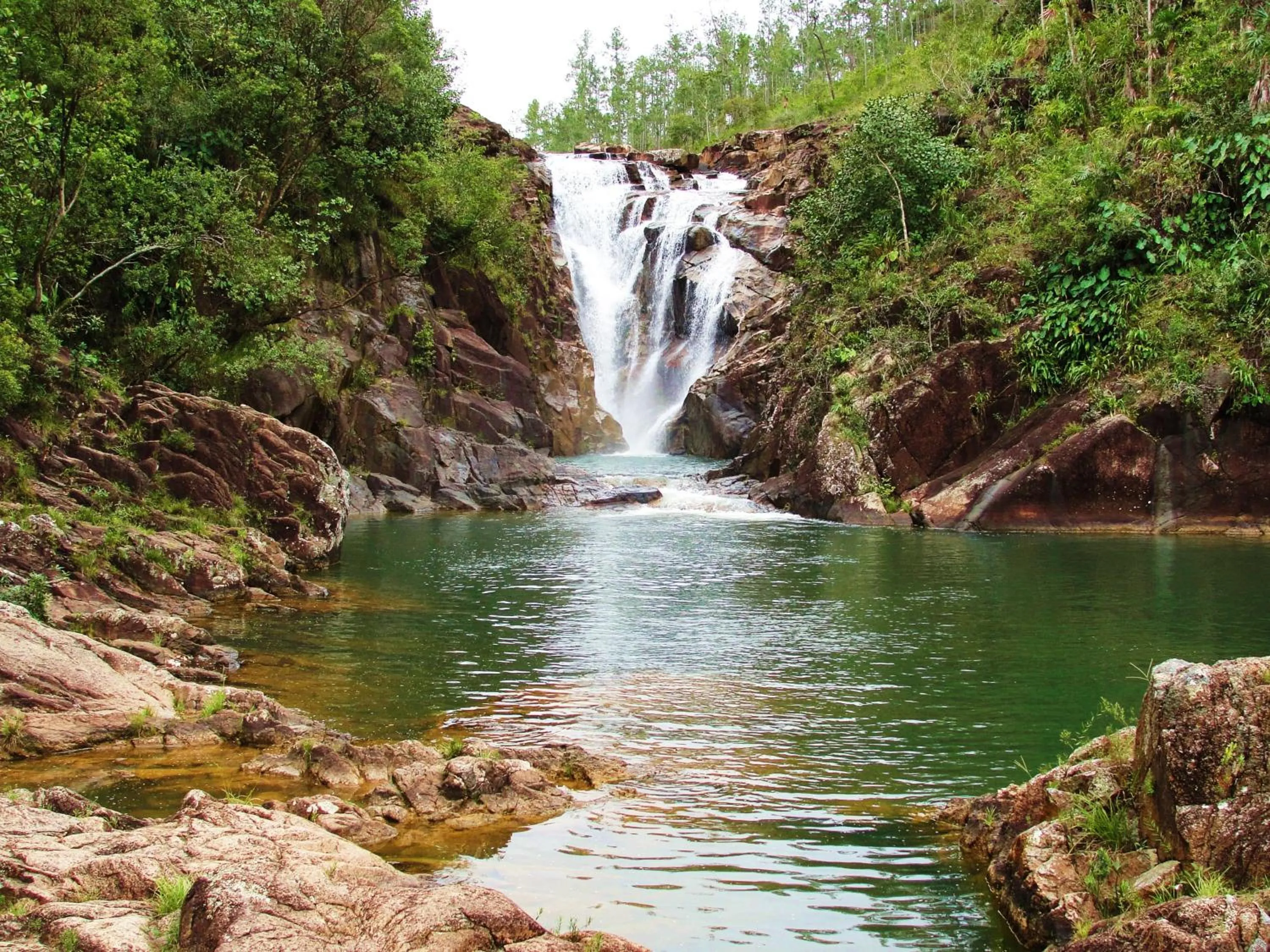 Natural landscape in Mariposa Jungle Lodge