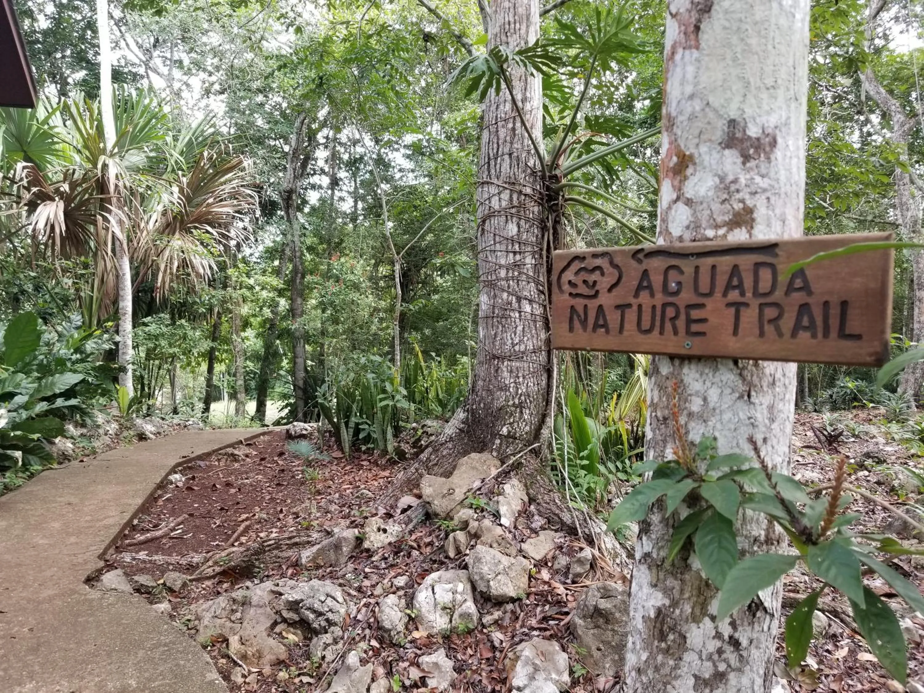 Natural landscape in Mariposa Jungle Lodge