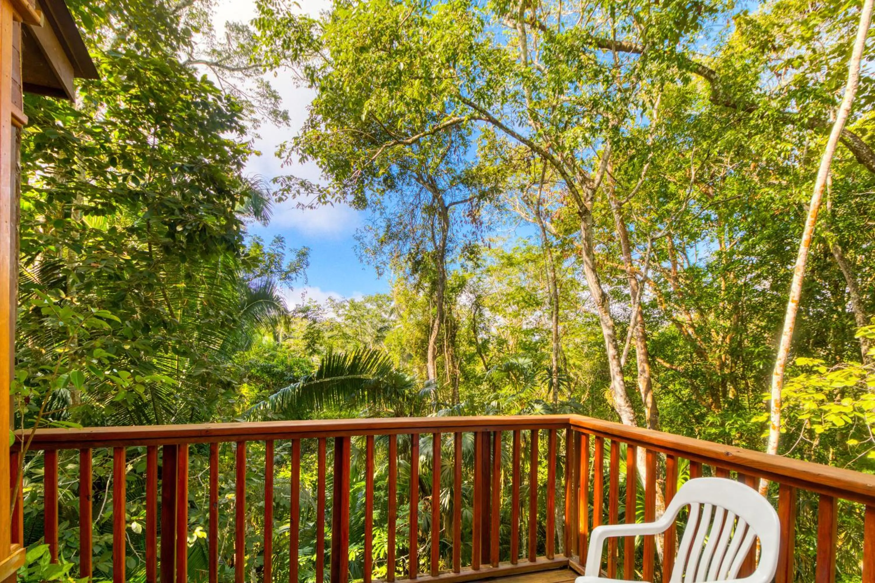 Balcony/Terrace in Mariposa Jungle Lodge