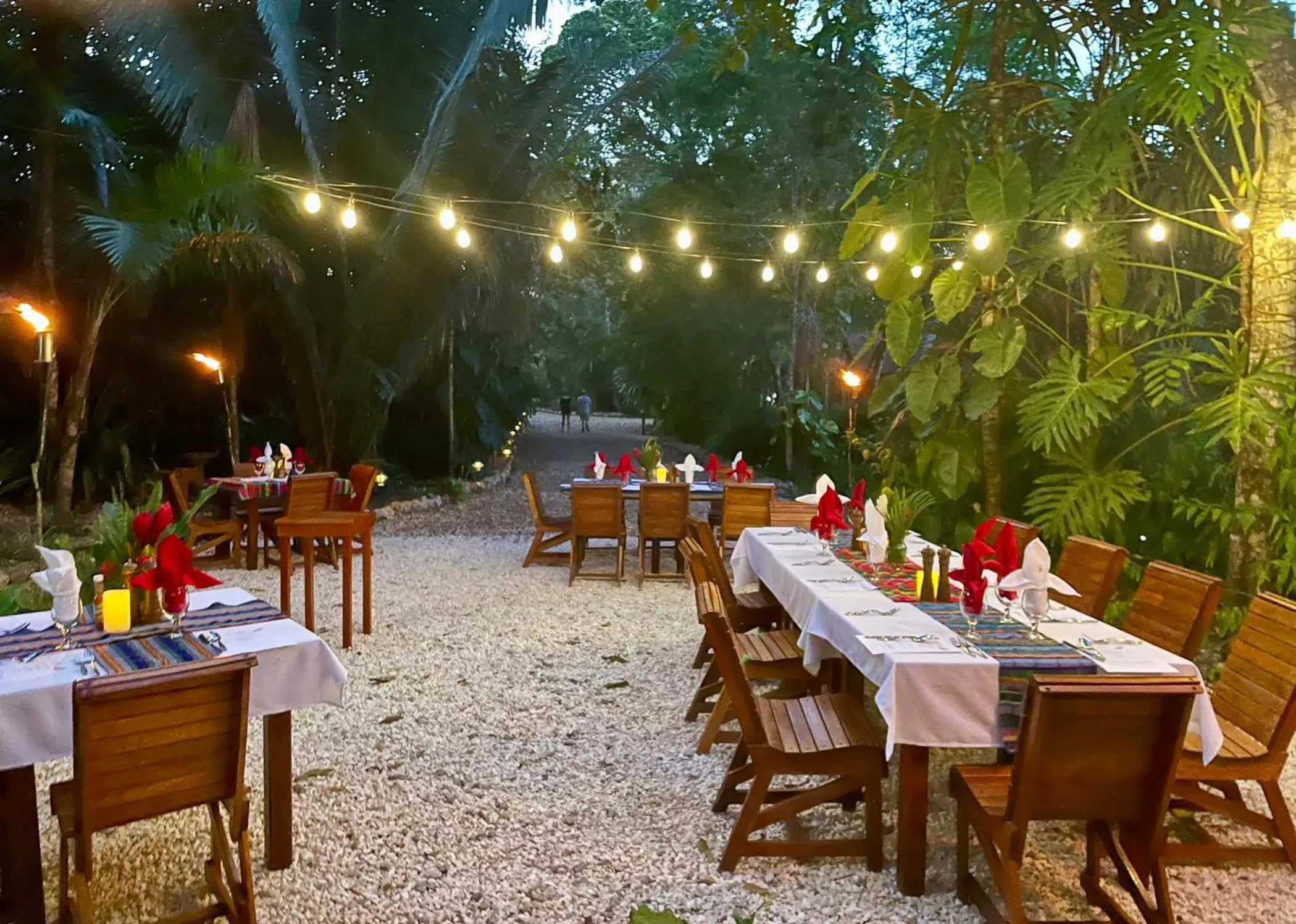 Dining area in Mariposa Jungle Lodge