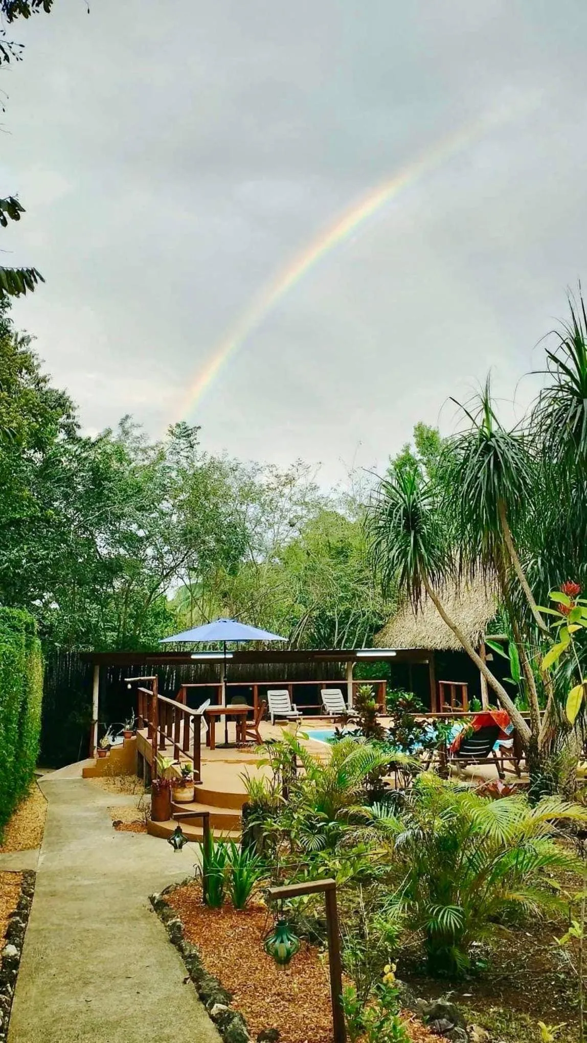 Pool view in Mariposa Jungle Lodge