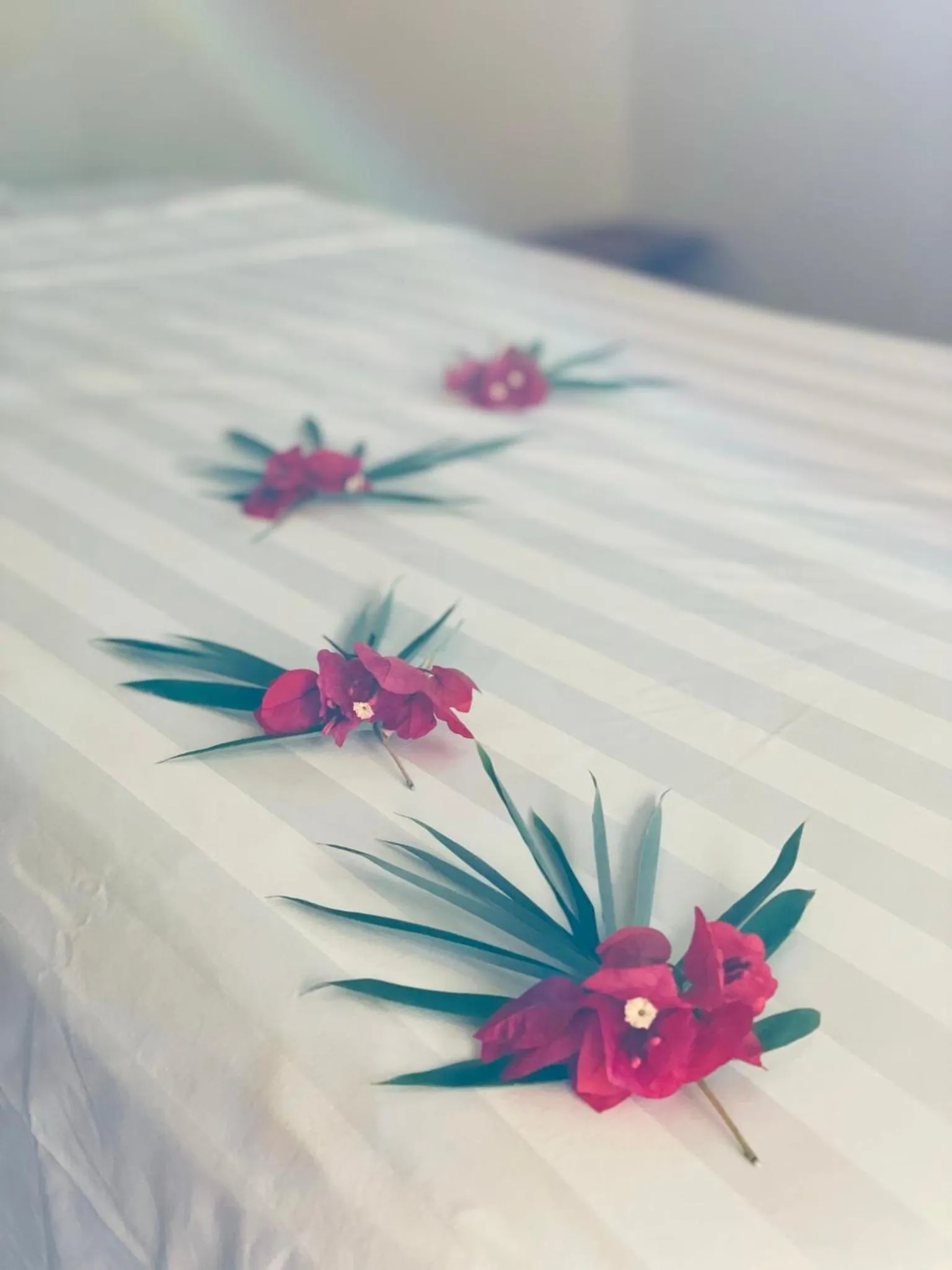 Spa and wellness centre/facilities, Bed in Mariposa Jungle Lodge