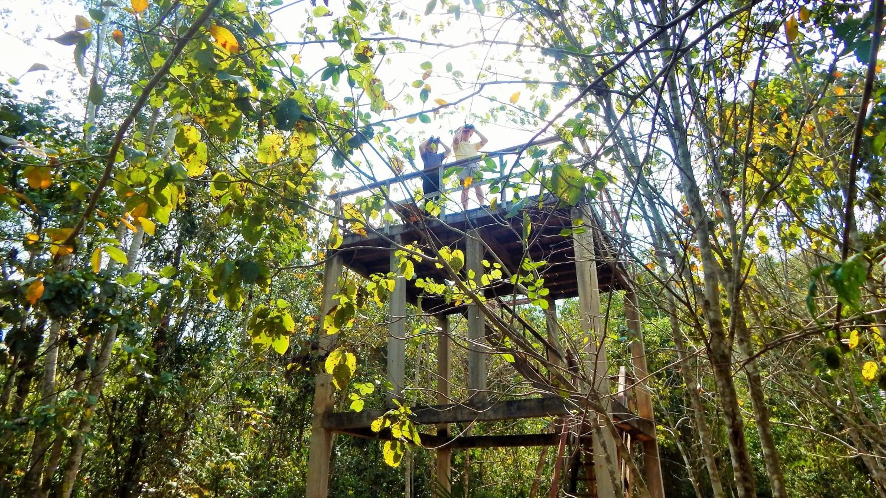 Bird's eye view in Mariposa Jungle Lodge