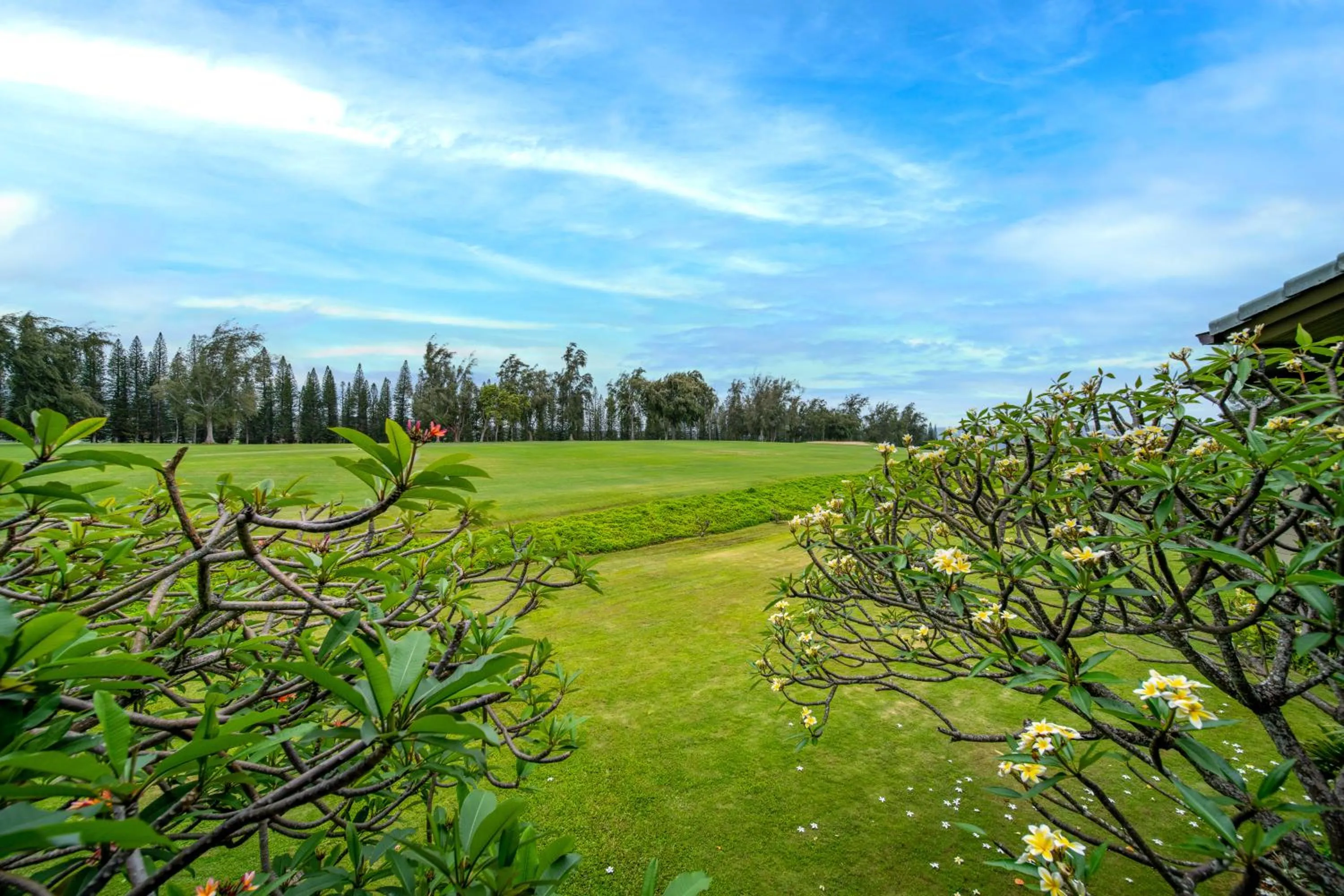 Garden view in Kapalua Villas Maui