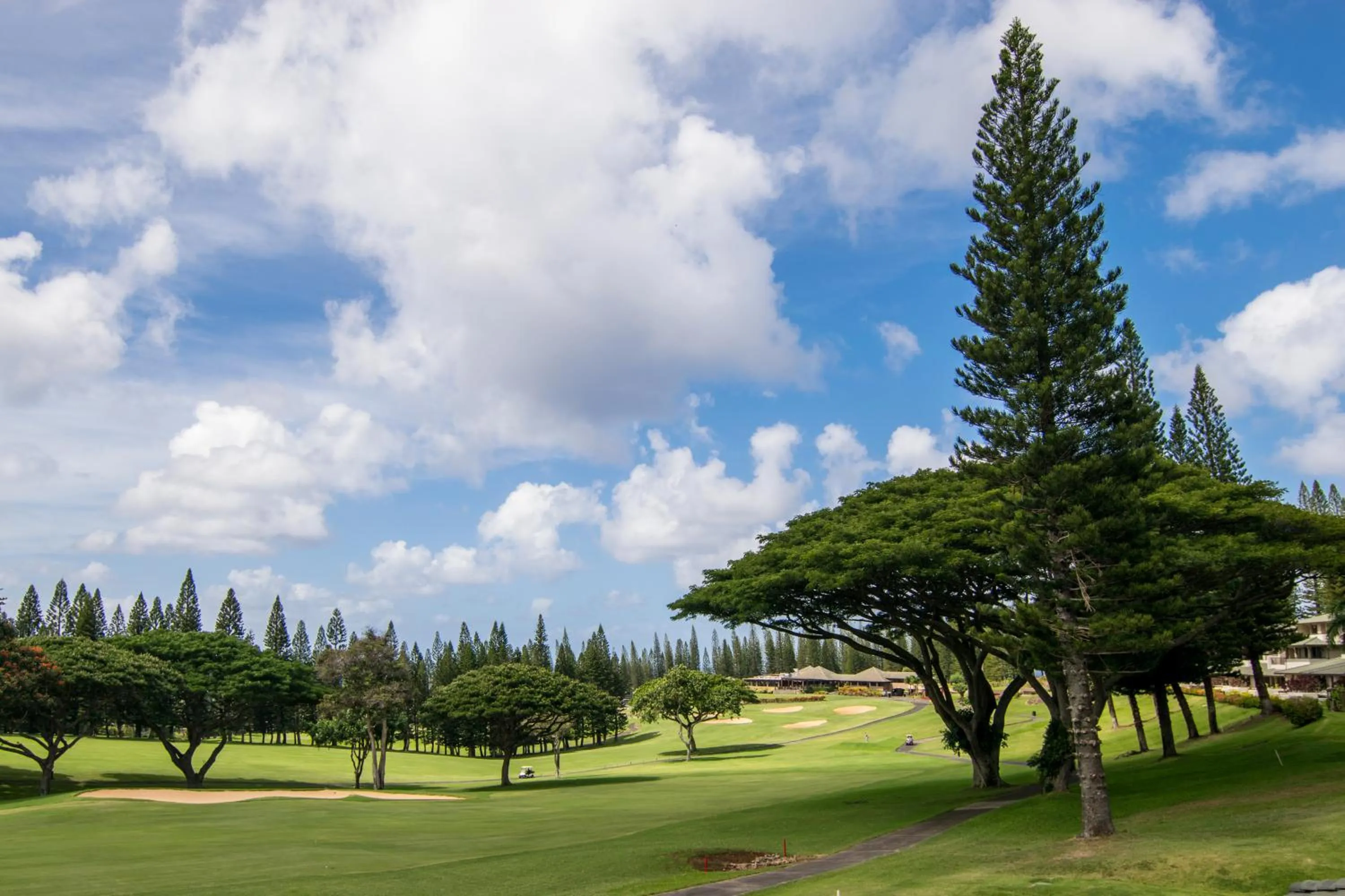 Golfcourse in Kapalua Villas Maui