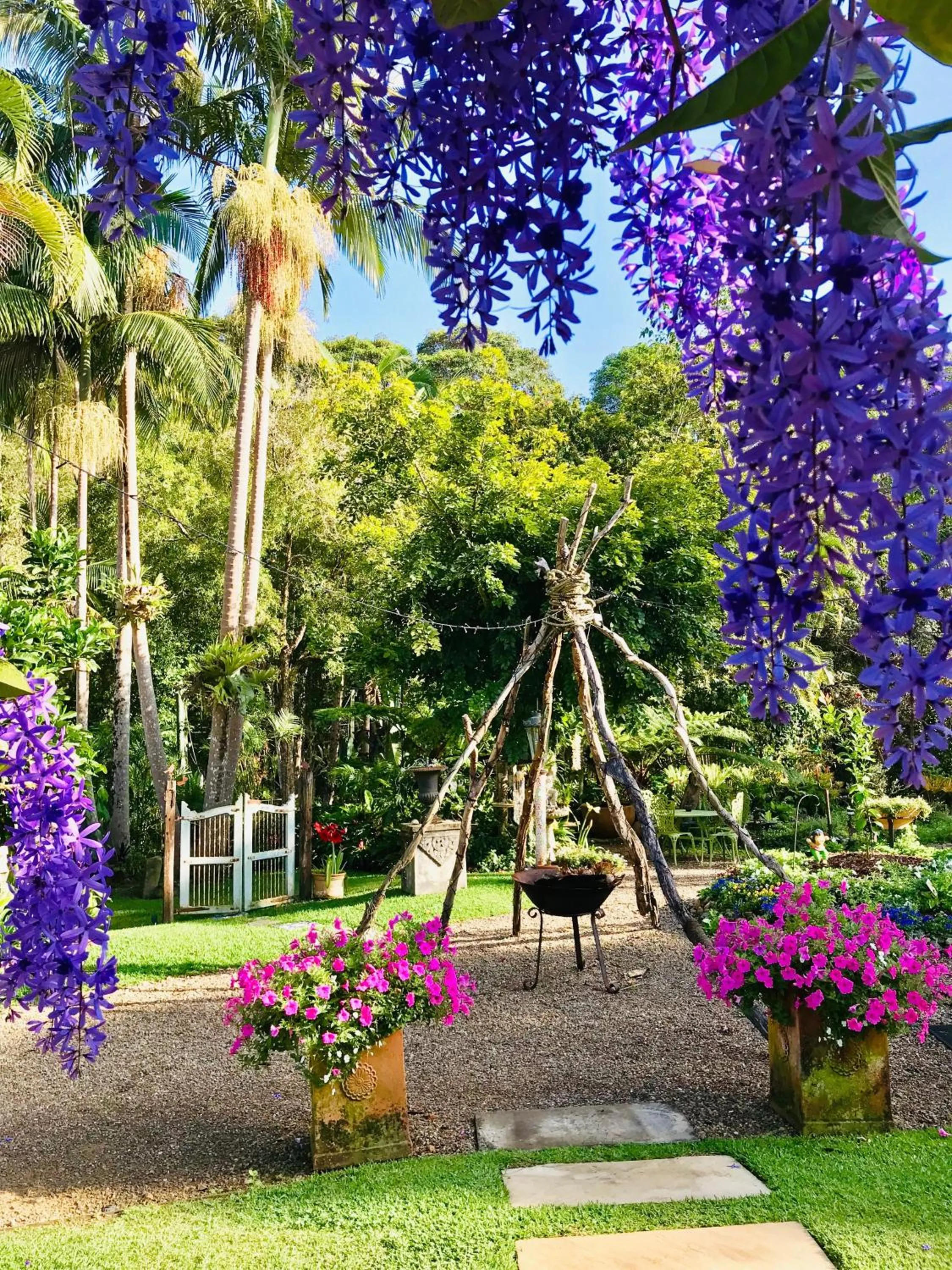 Garden in Noosa Valley Manor B&B