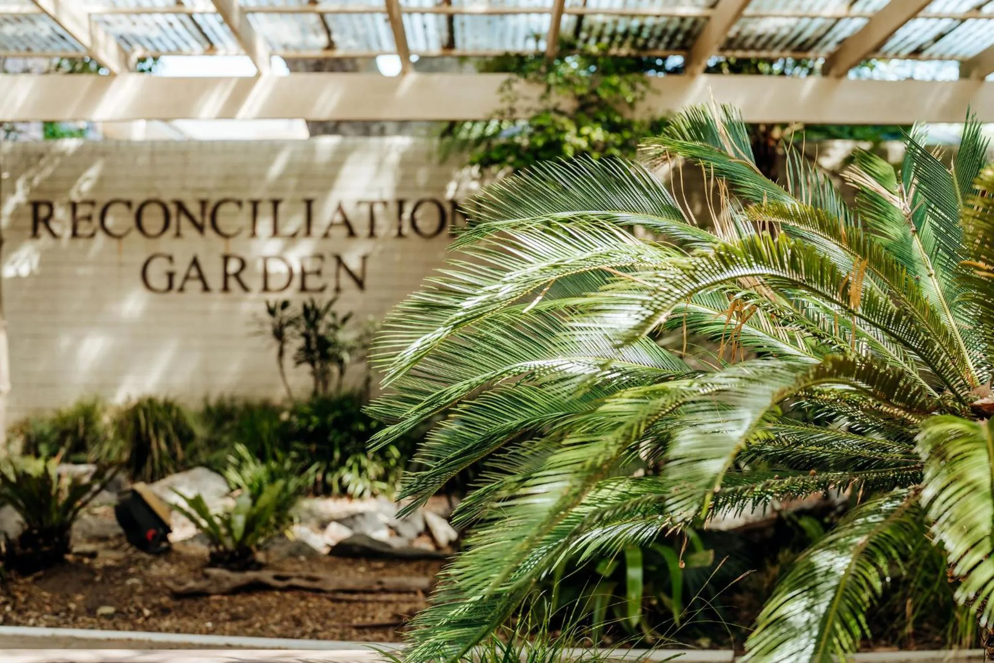 Garden in Mary MacKillop Place