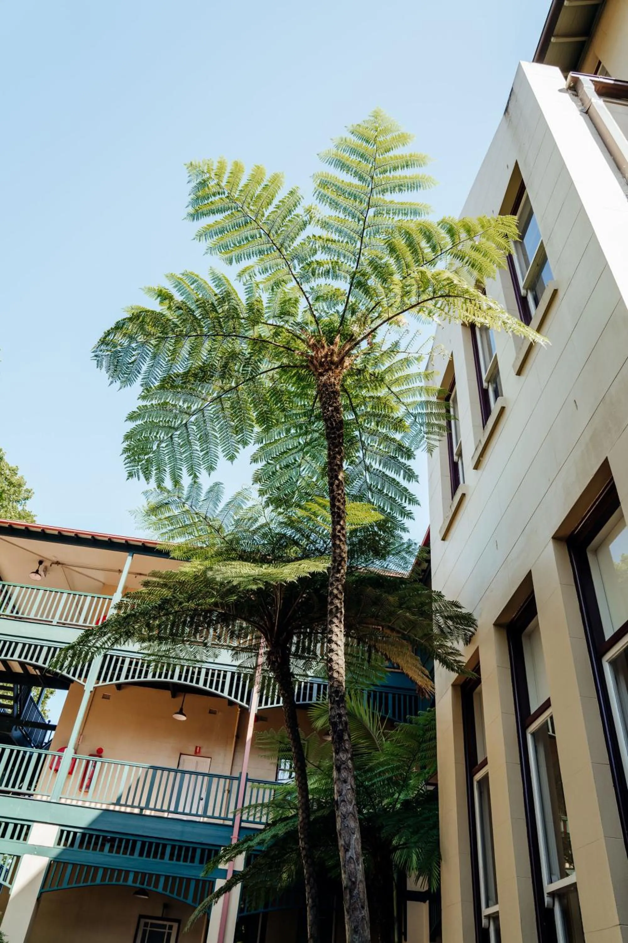 Property building in Mary MacKillop Place