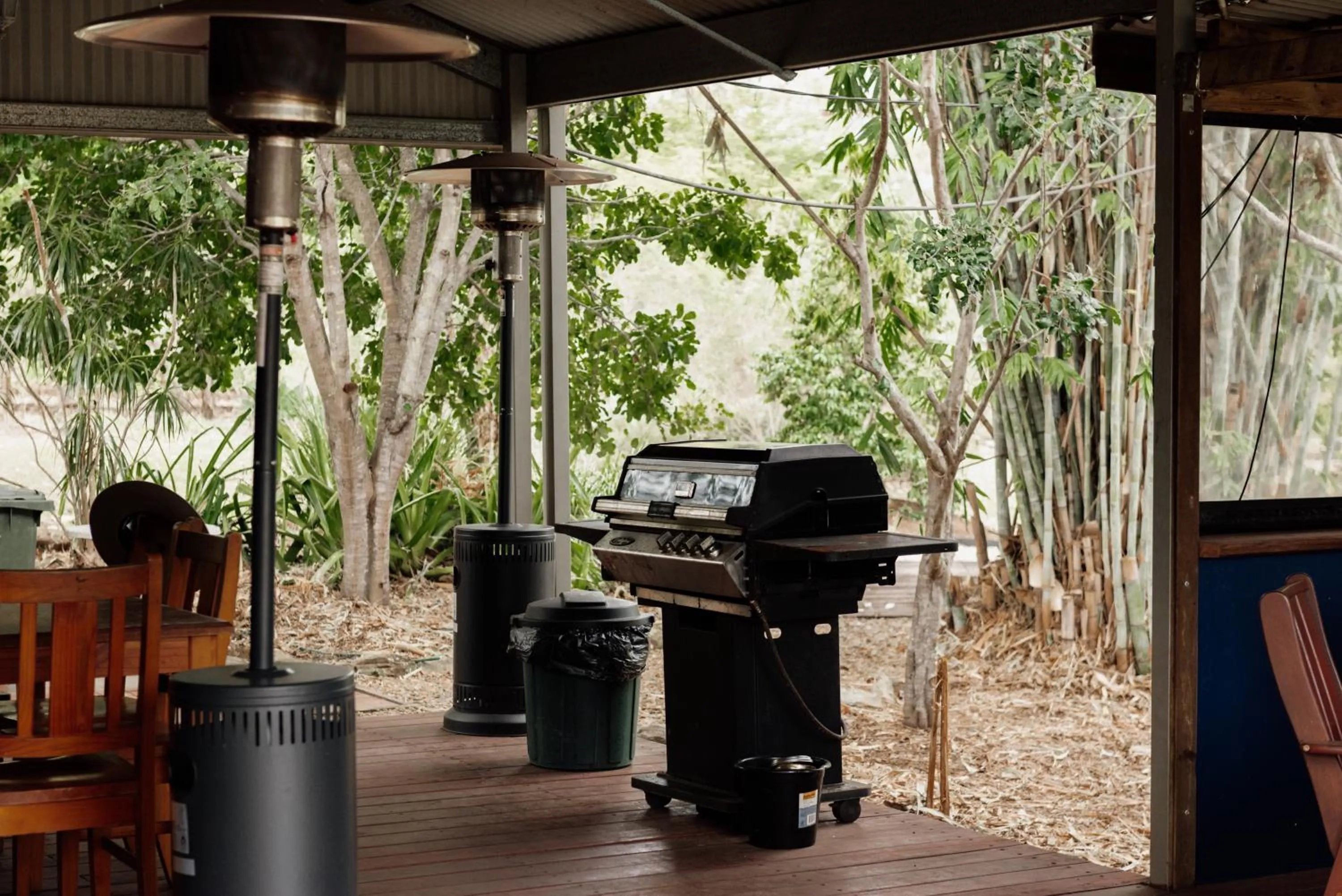 Day in Tuckeroo Cottages & Gardens - Blue Wren & Kookaburra