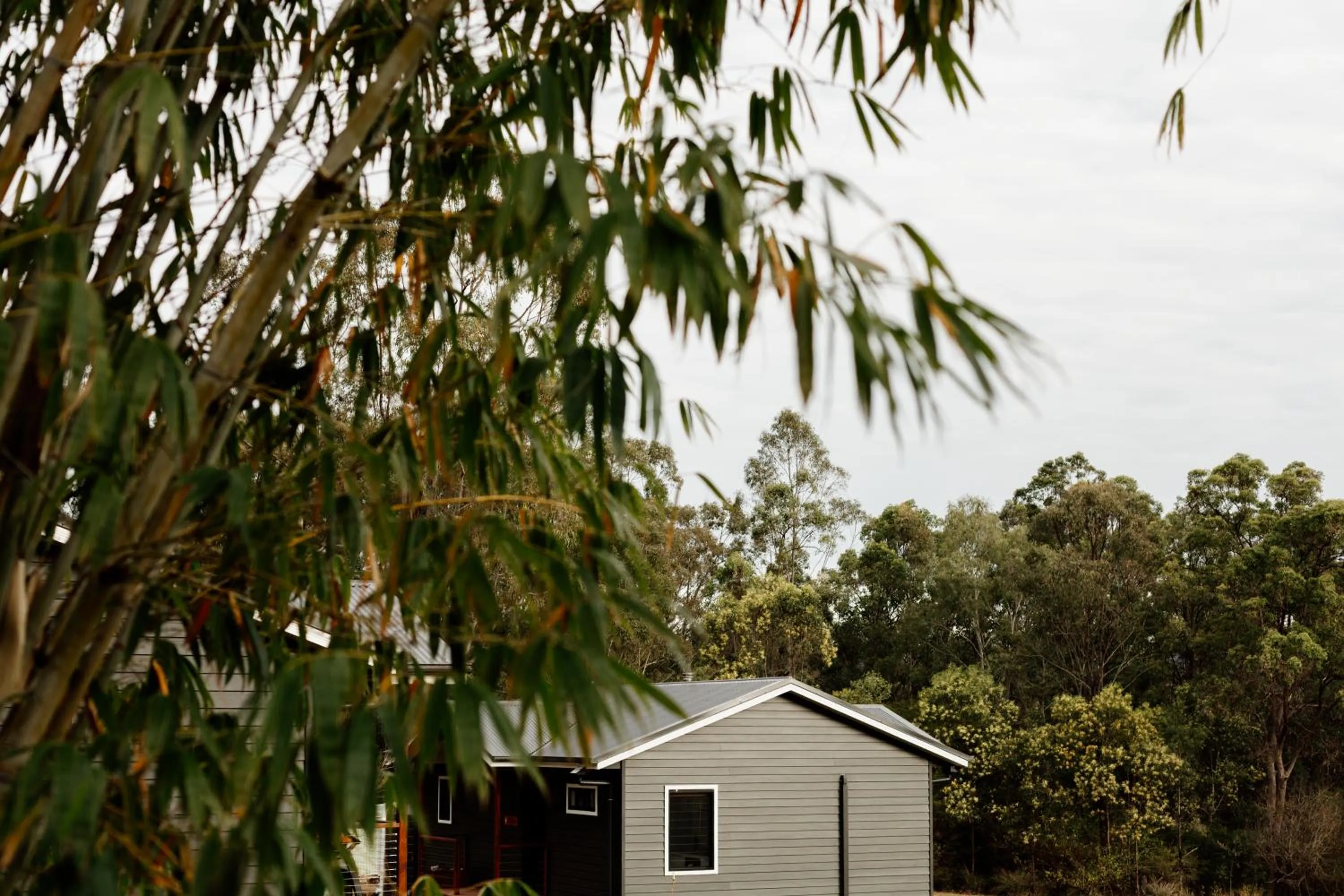 Garden view in Tuckeroo Cottages & Gardens - Blue Wren & Kookaburra