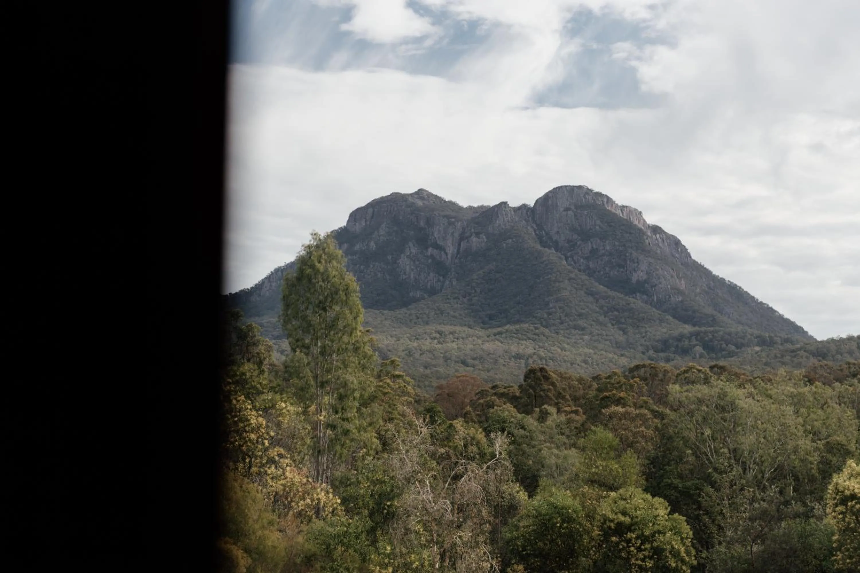 Nearby landmark in Tuckeroo Cottages & Gardens - Blue Wren & Kookaburra