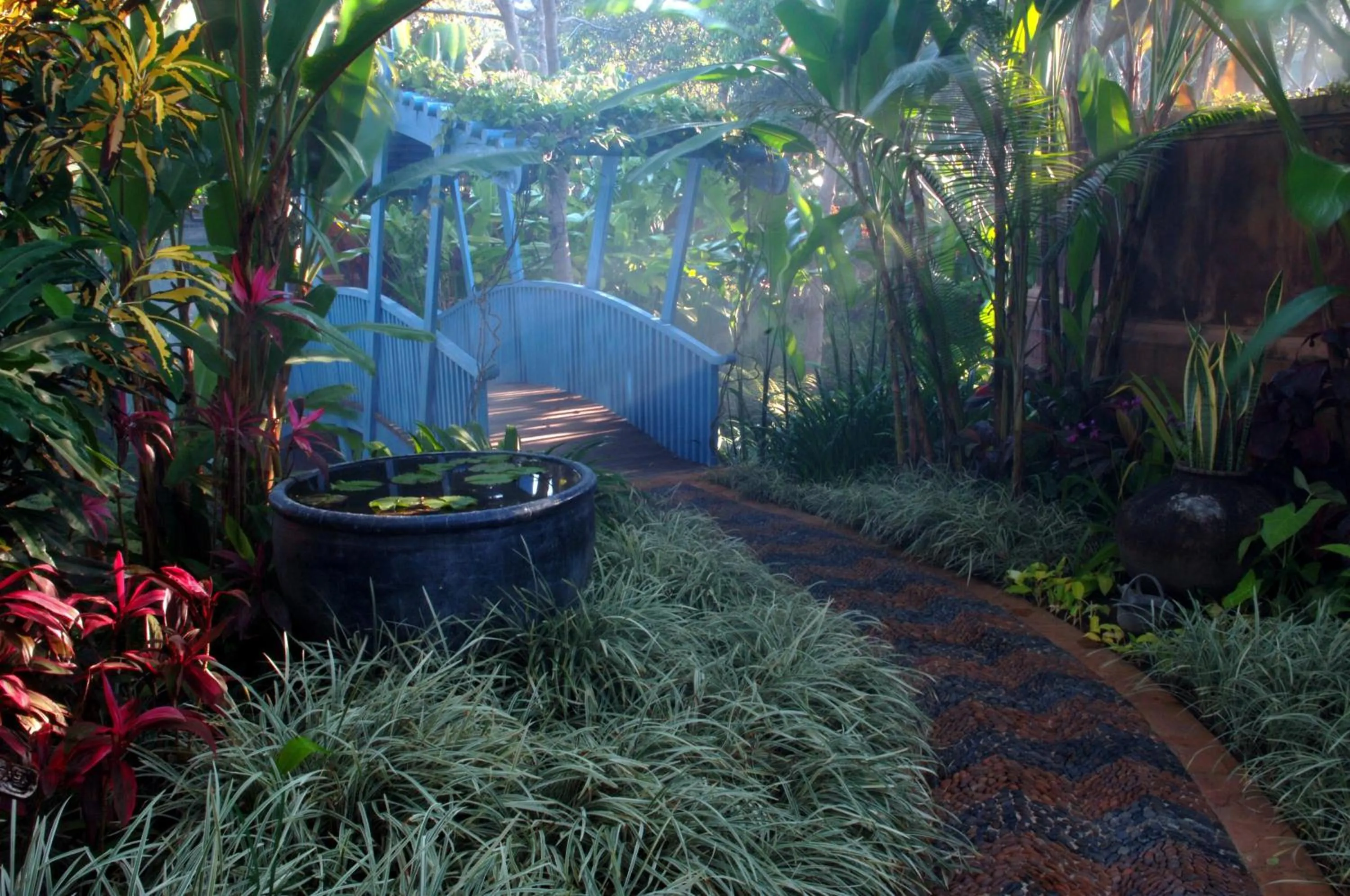 Day in Howie's HomeStay