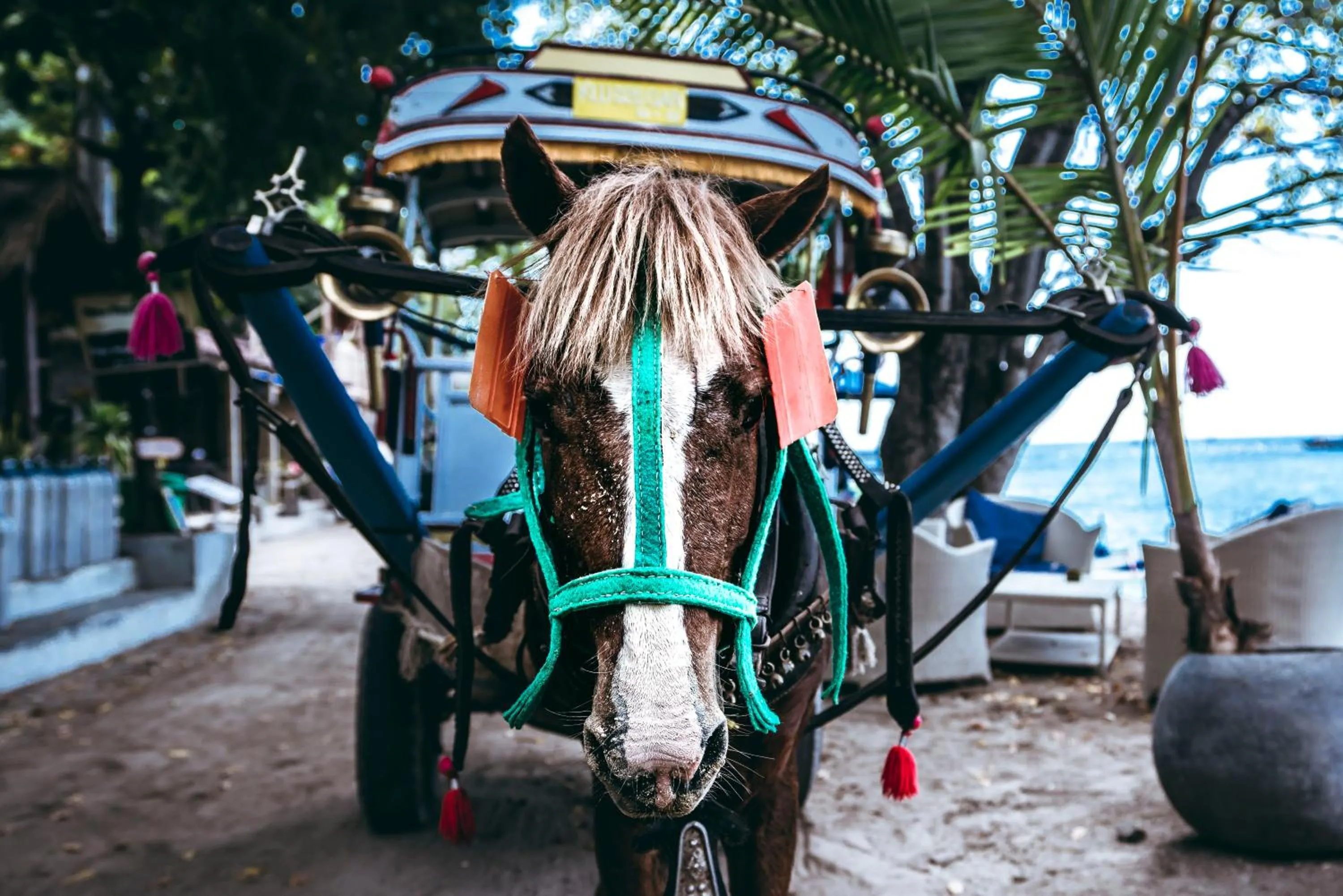 Beach in Manta Dive Gili Air Resort