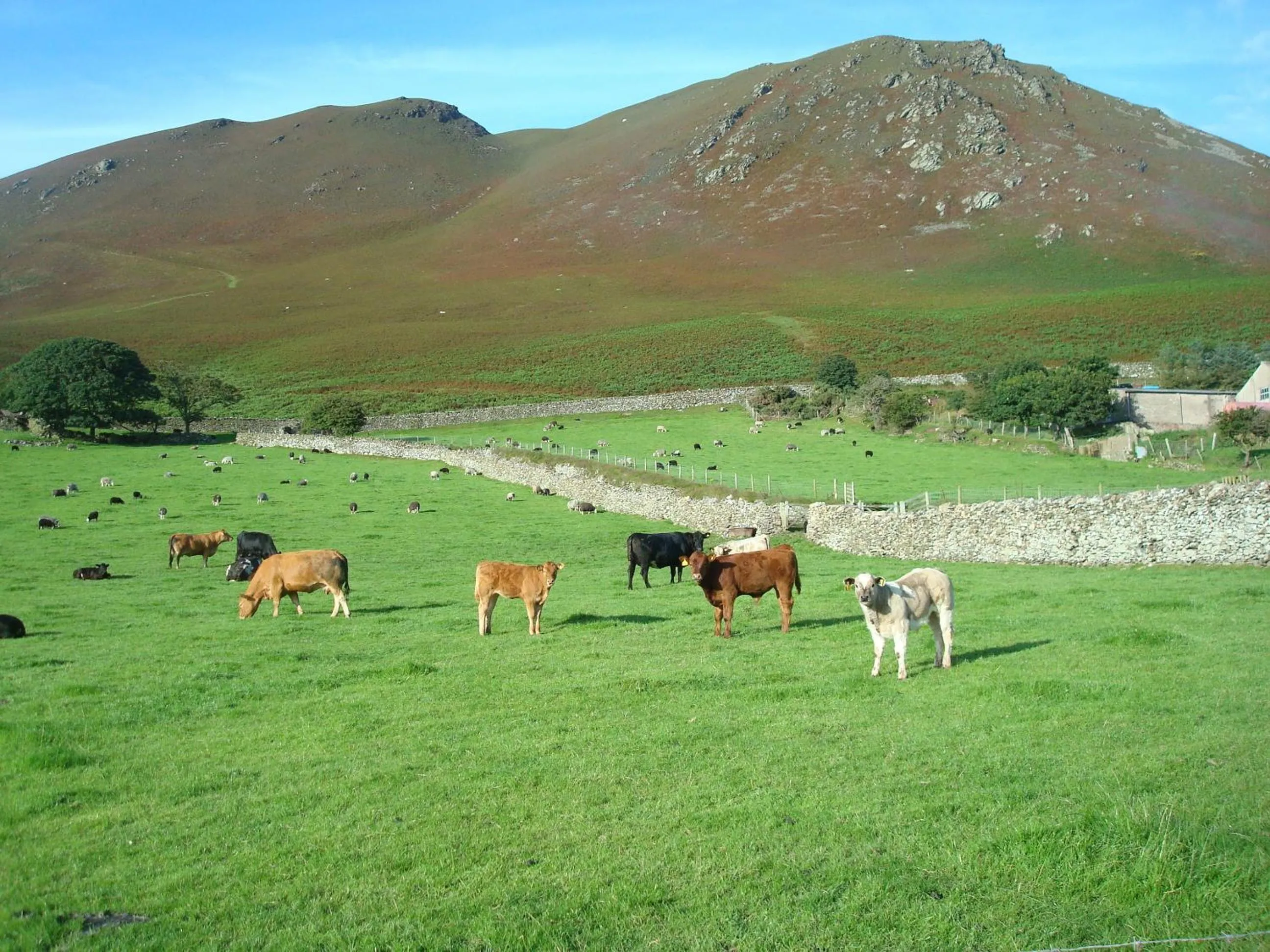 Natural landscape in The Wayside and Whisky Barn