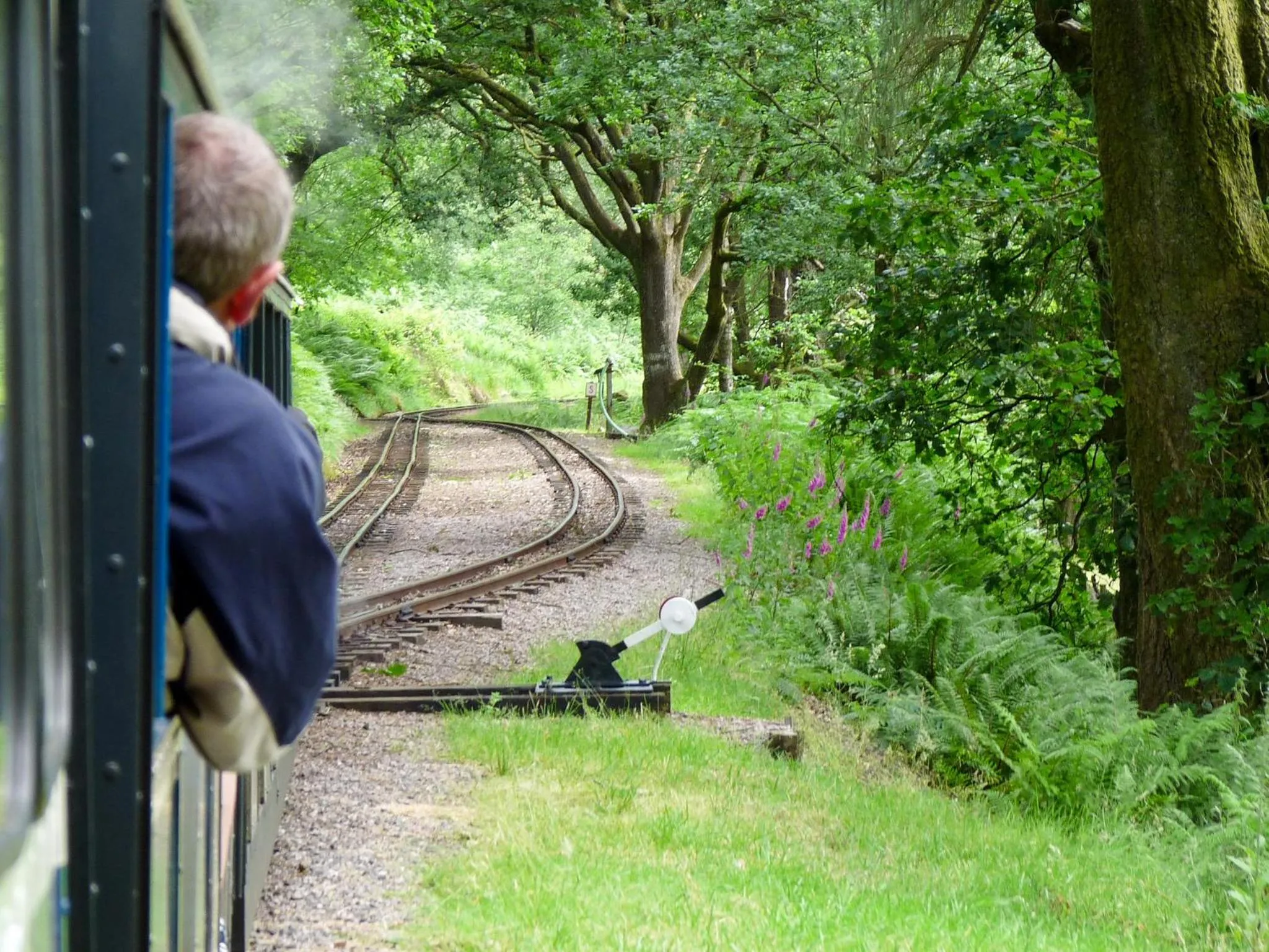 Natural landscape in The Wayside and Whisky Barn