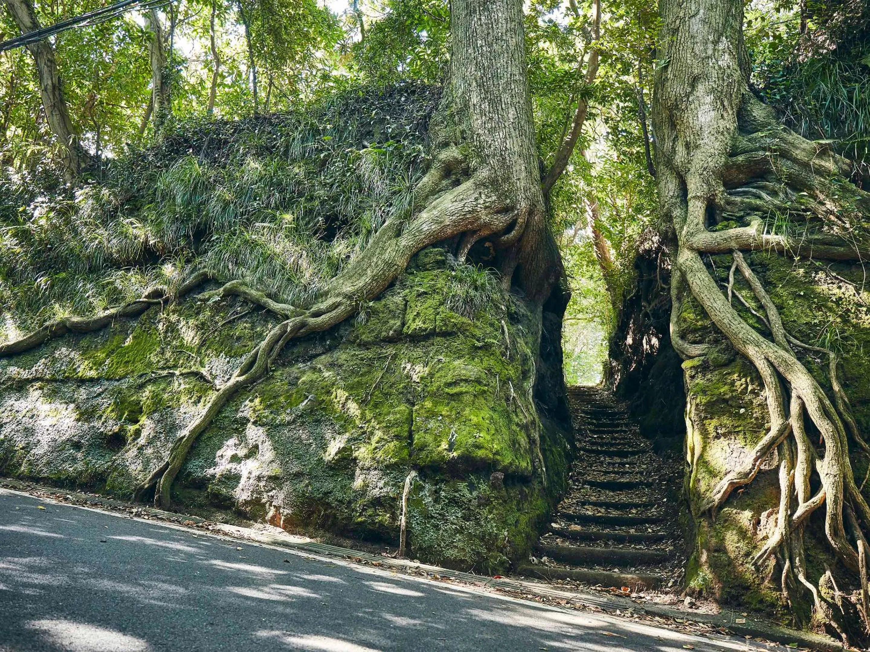 Off site in Resort villa miko