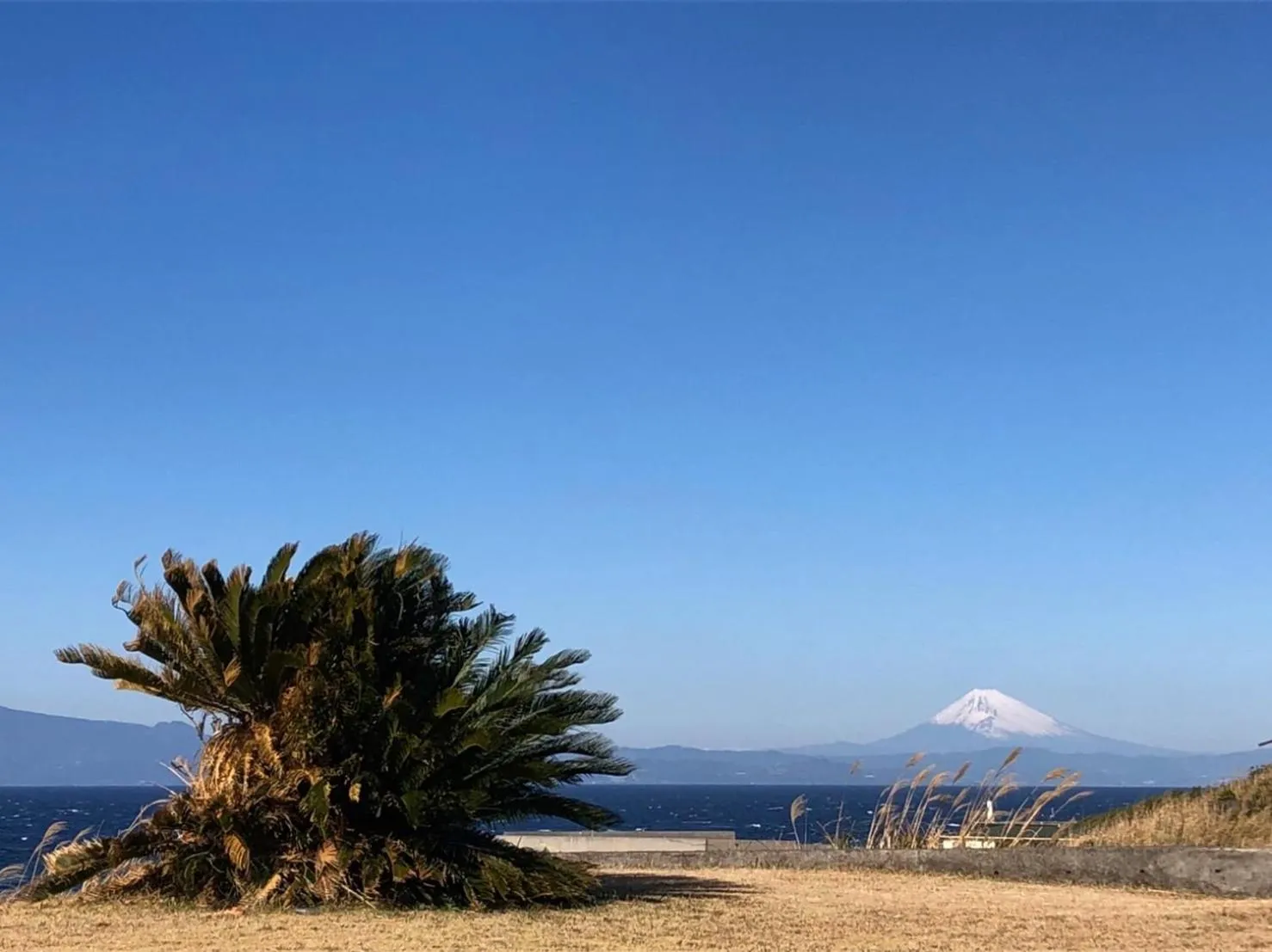 Natural landscape in Resort villa miko