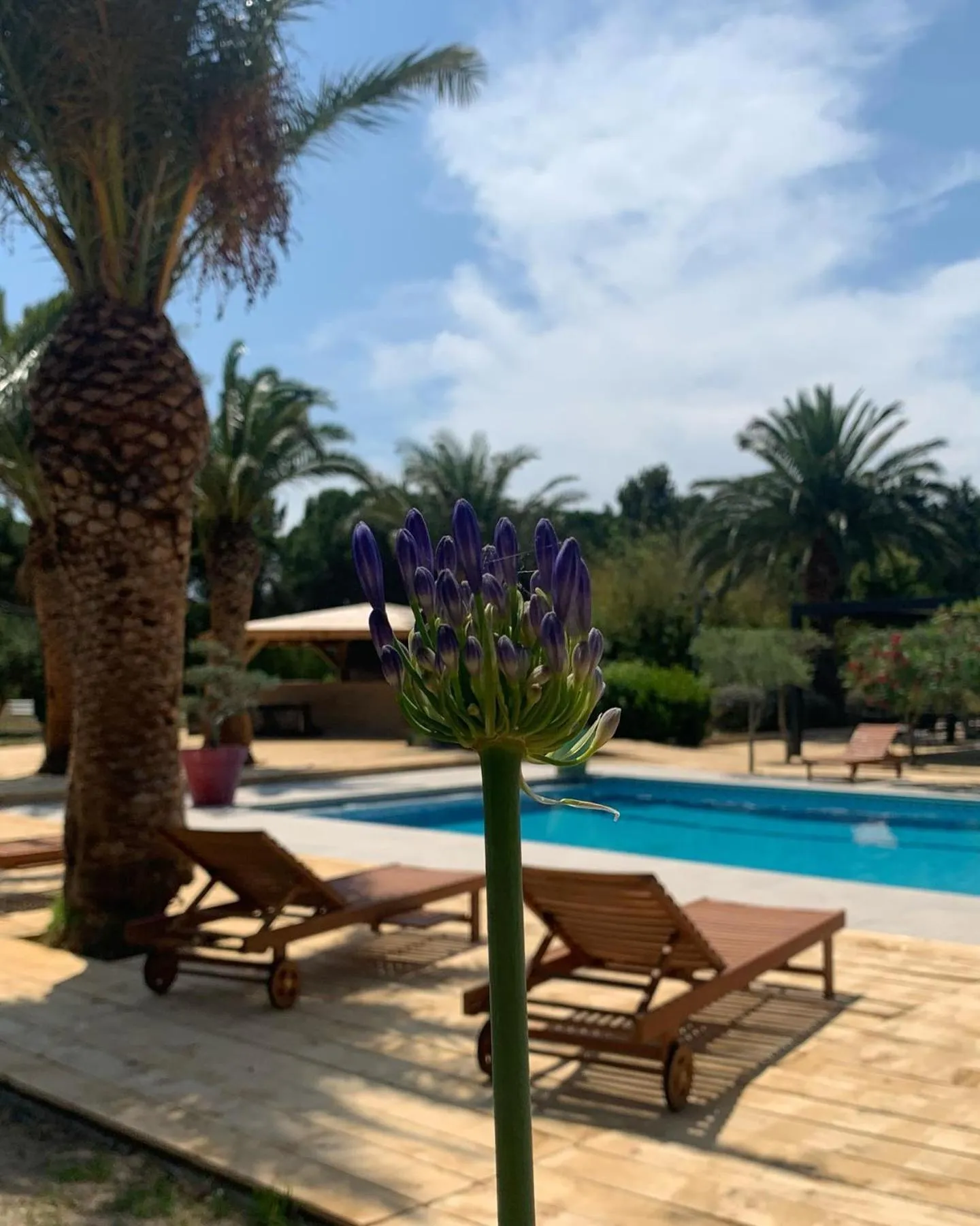 Swimming pool in Tropic Hôtel