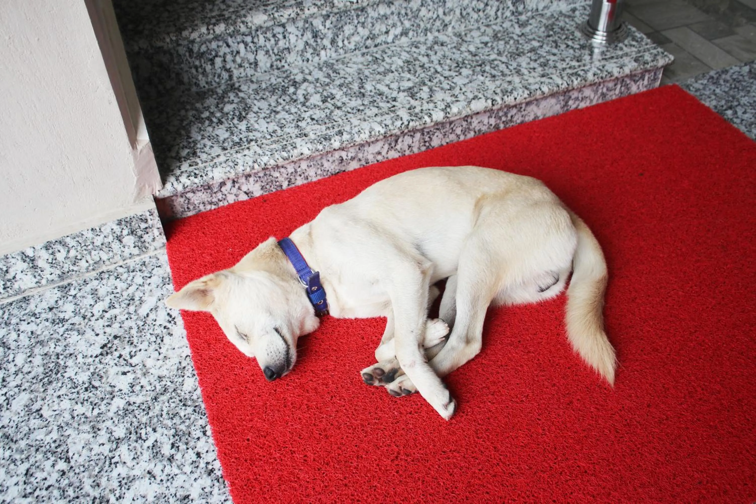 Other in Pokhara Tourist Home