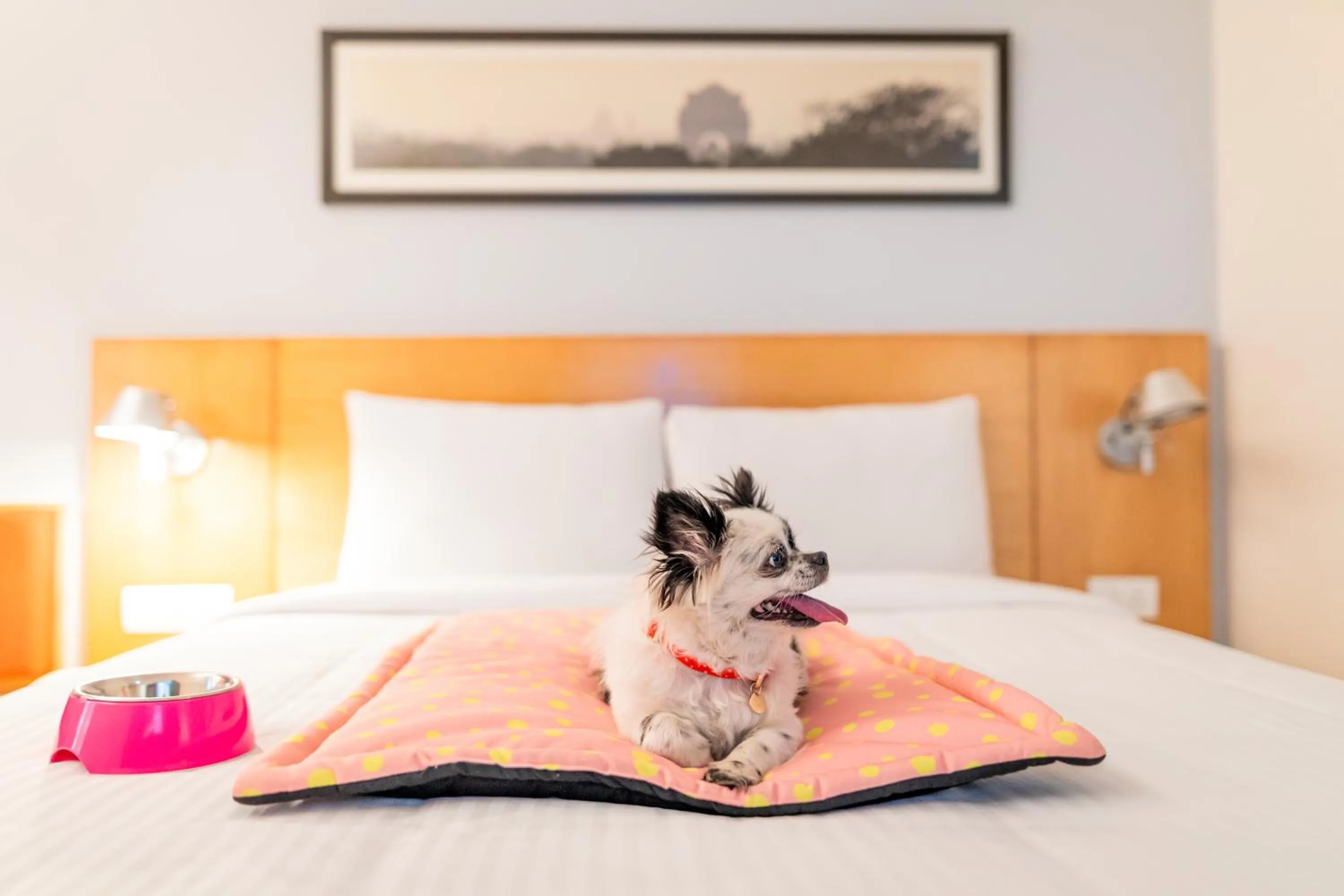 Bed in ibis Montpellier Centre Comedie