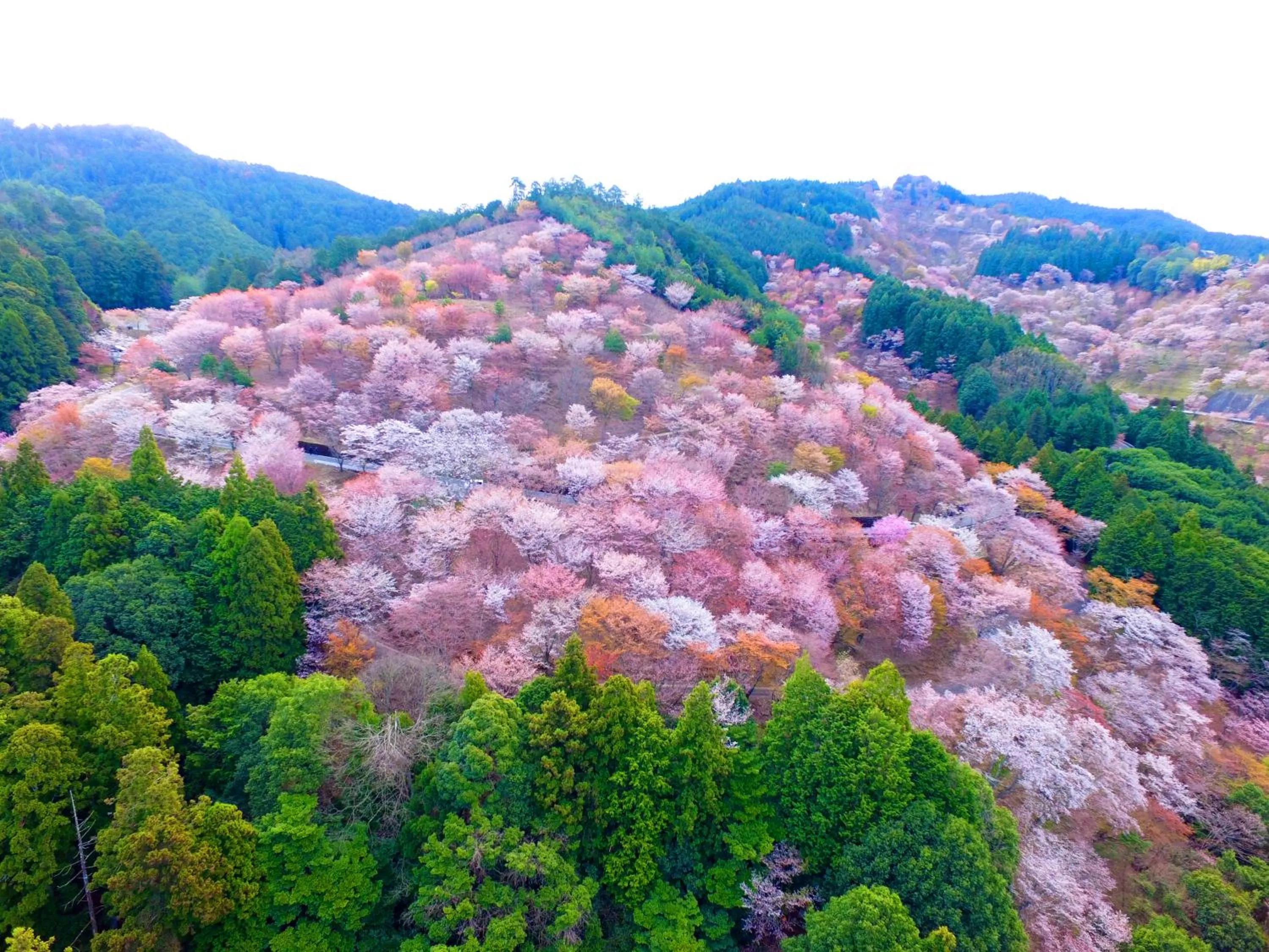 Nearby landmark in Temple Town Hotel WAQOO Horyuji