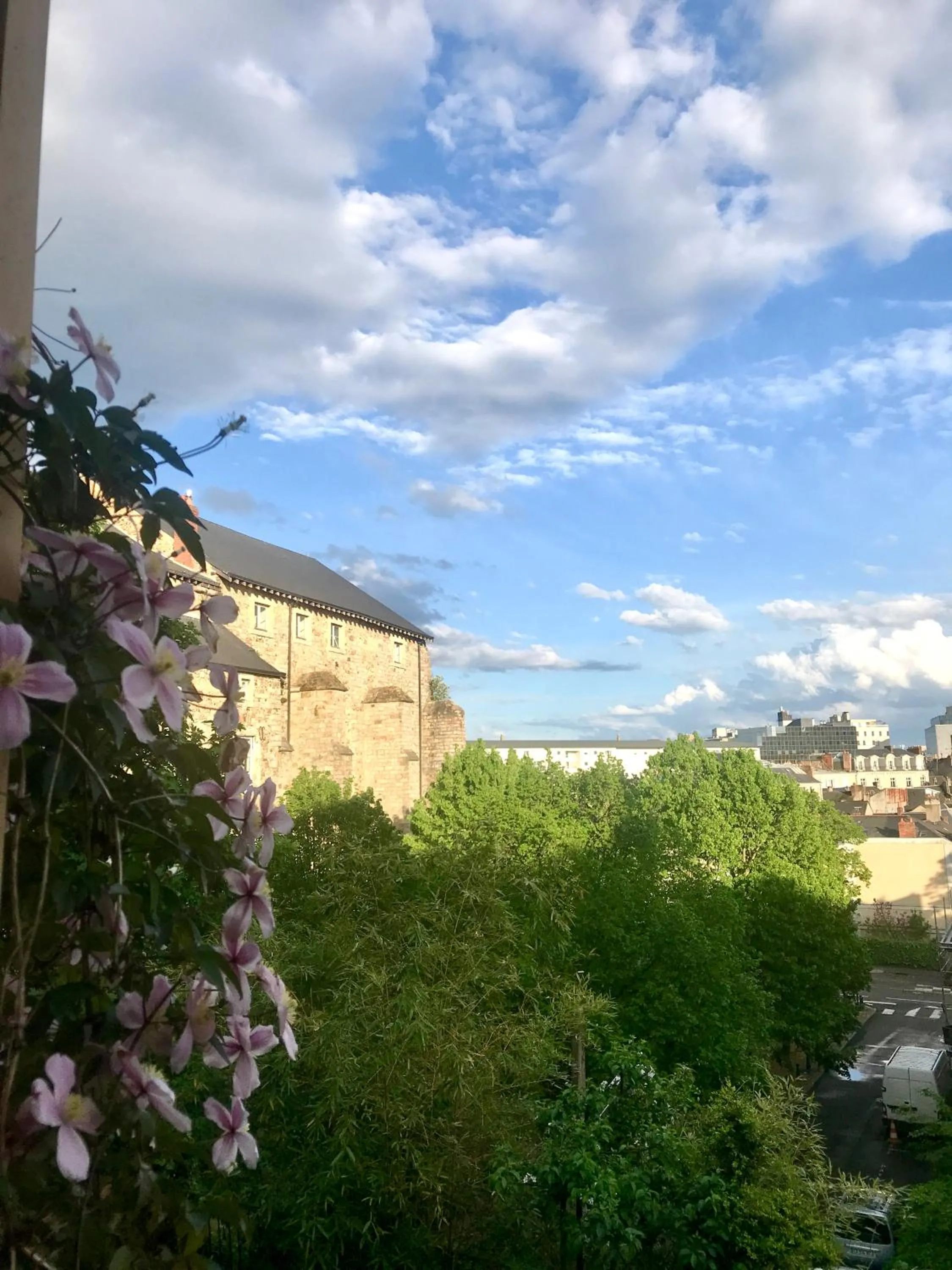 Landmark view in Logis Saint-Flaceau