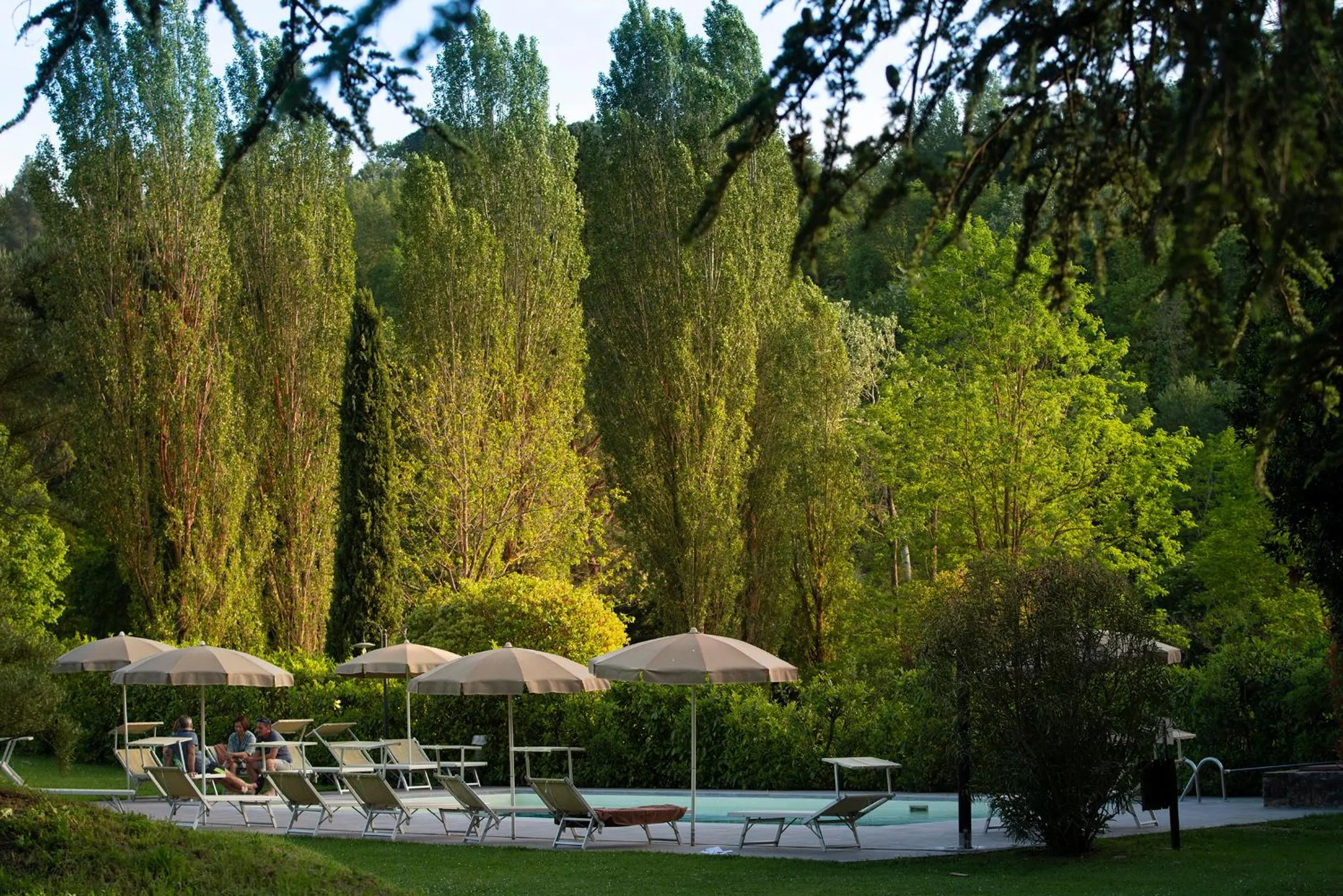 Pool view in Villa Sestilia Guest House