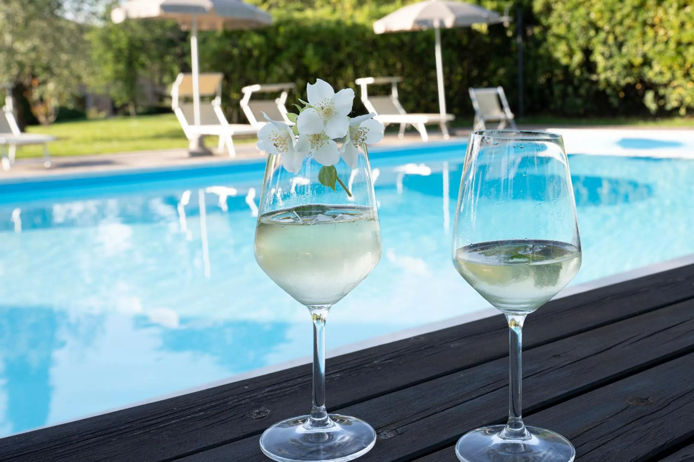 Pool view in Villa Sestilia Guest House