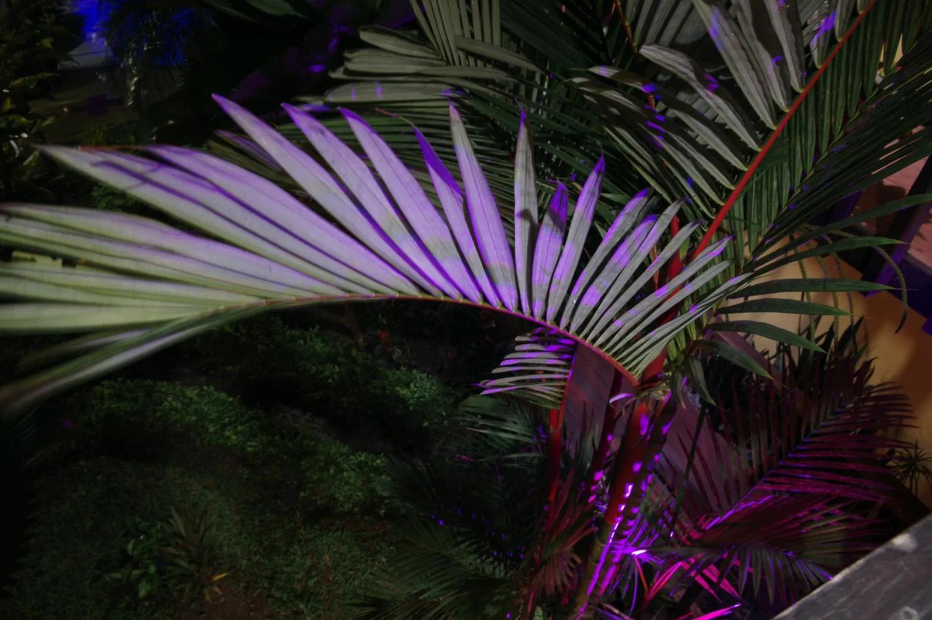 Decorative detail in Hotel Boutique La Casa de las Flores