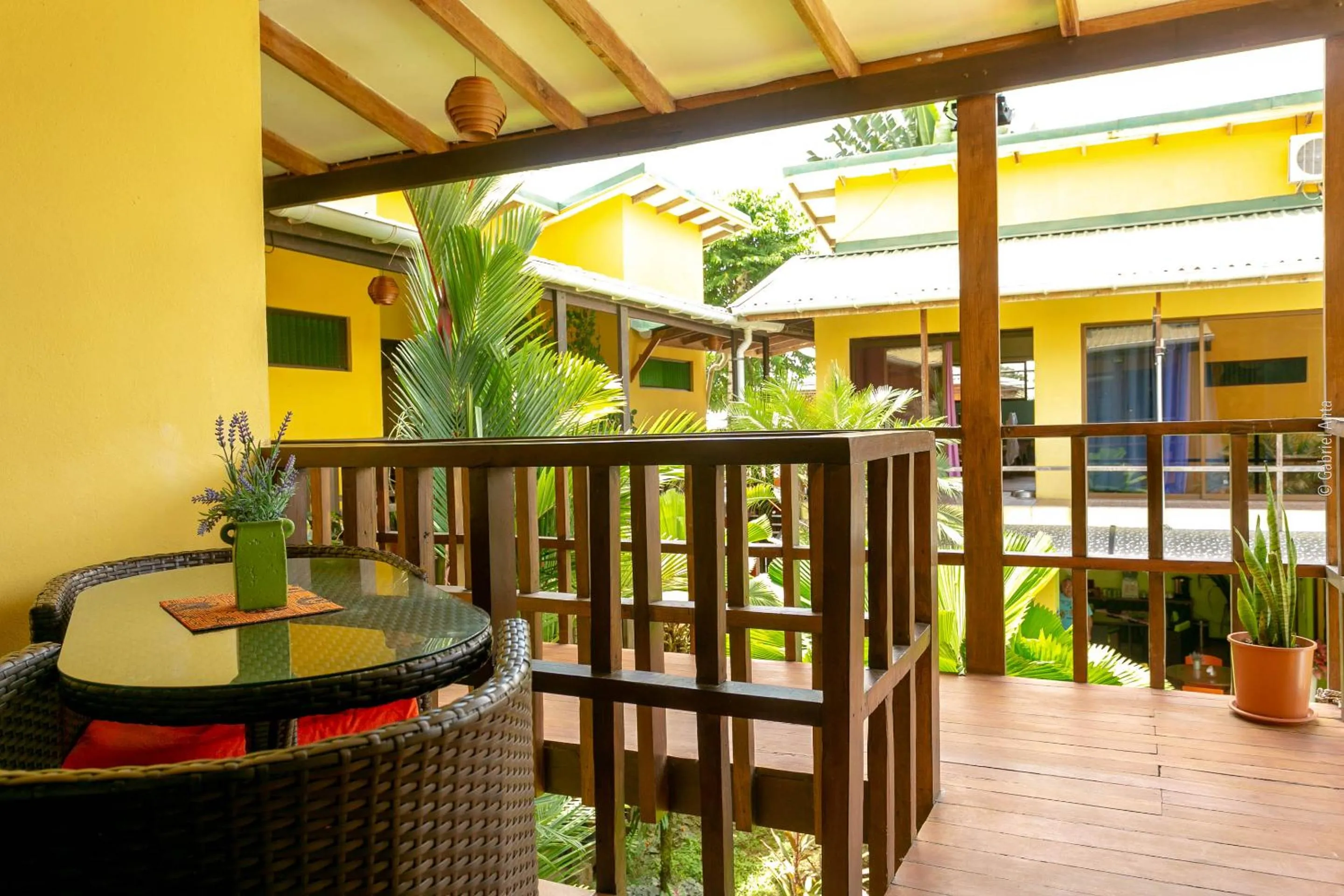 Garden view in Hotel Boutique La Casa de las Flores