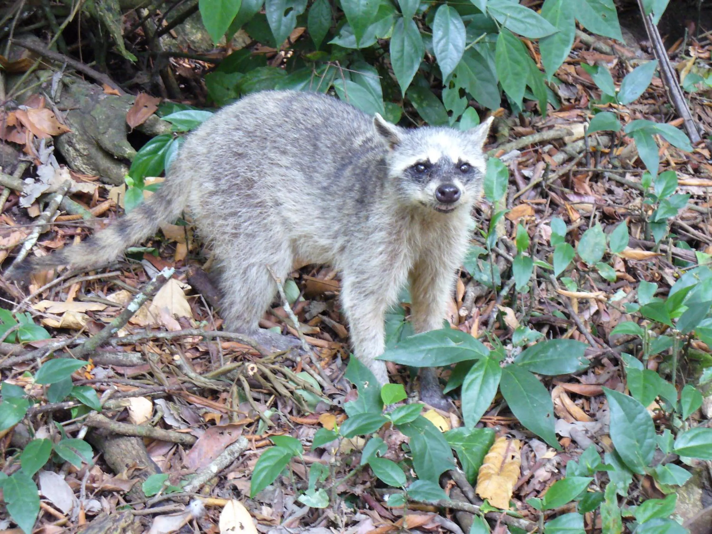 Area and facilities in Hotel Boutique La Casa de las Flores