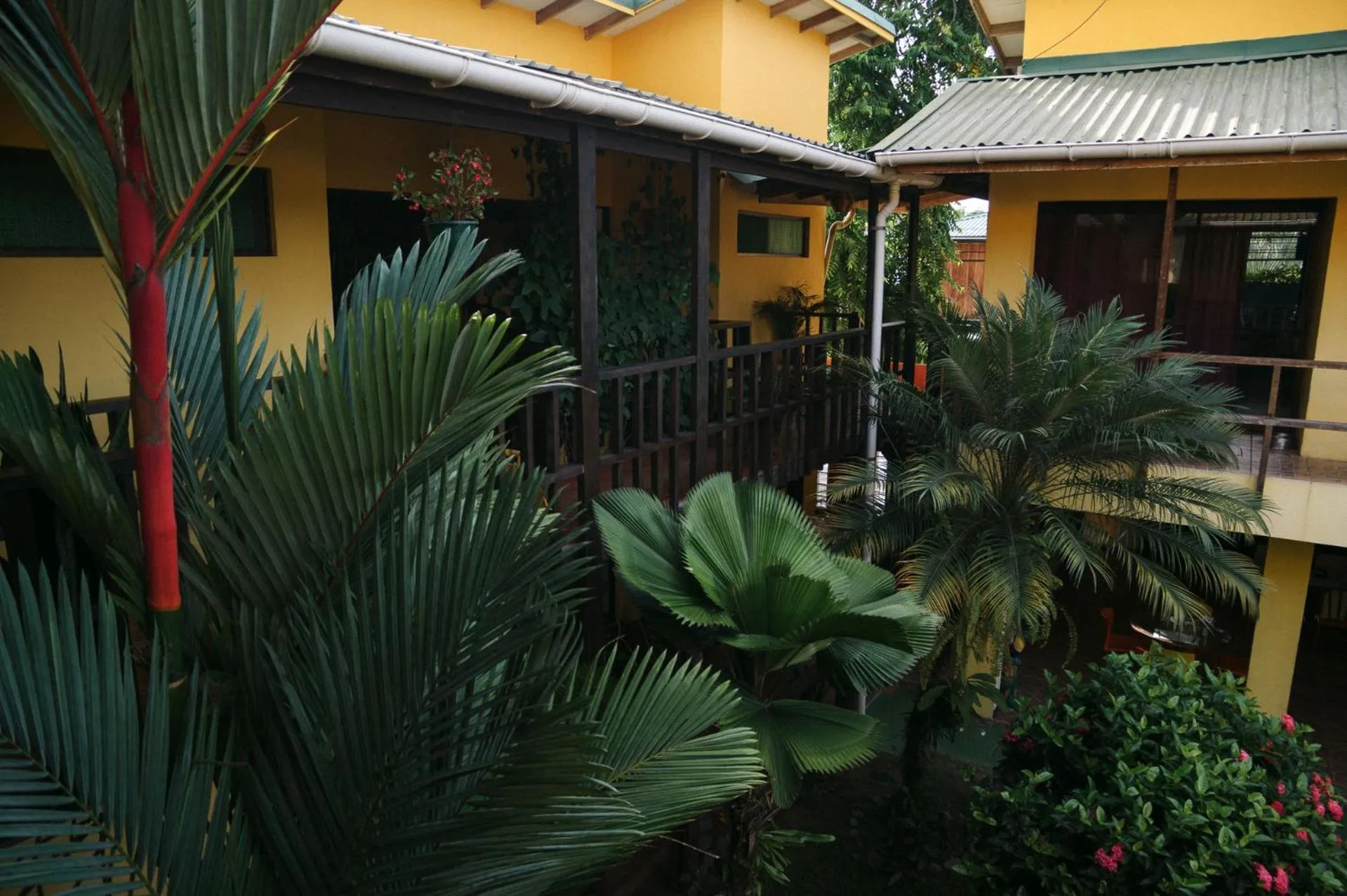 Decorative detail in Hotel Boutique La Casa de las Flores
