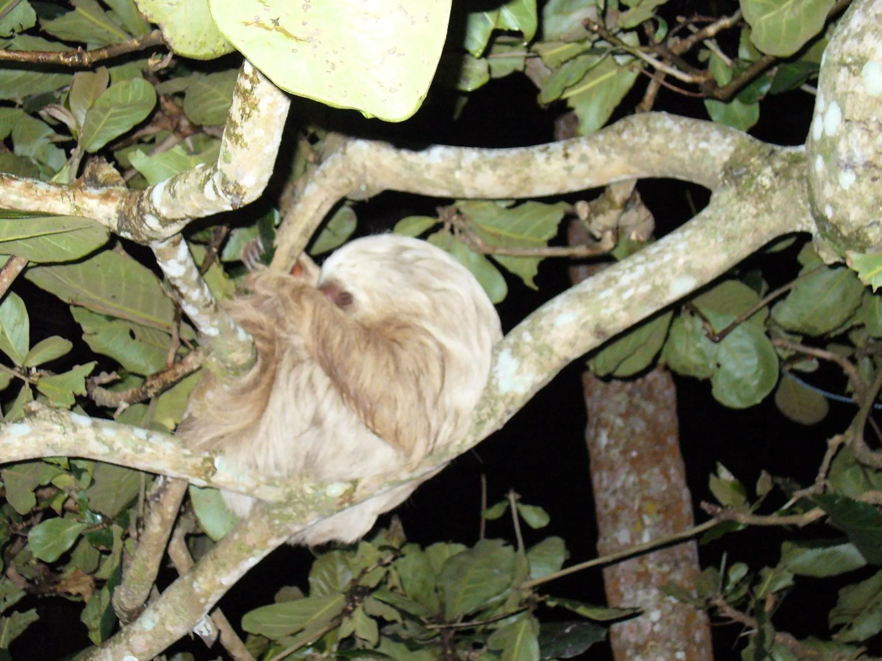 Area and facilities in Hotel Boutique La Casa de las Flores