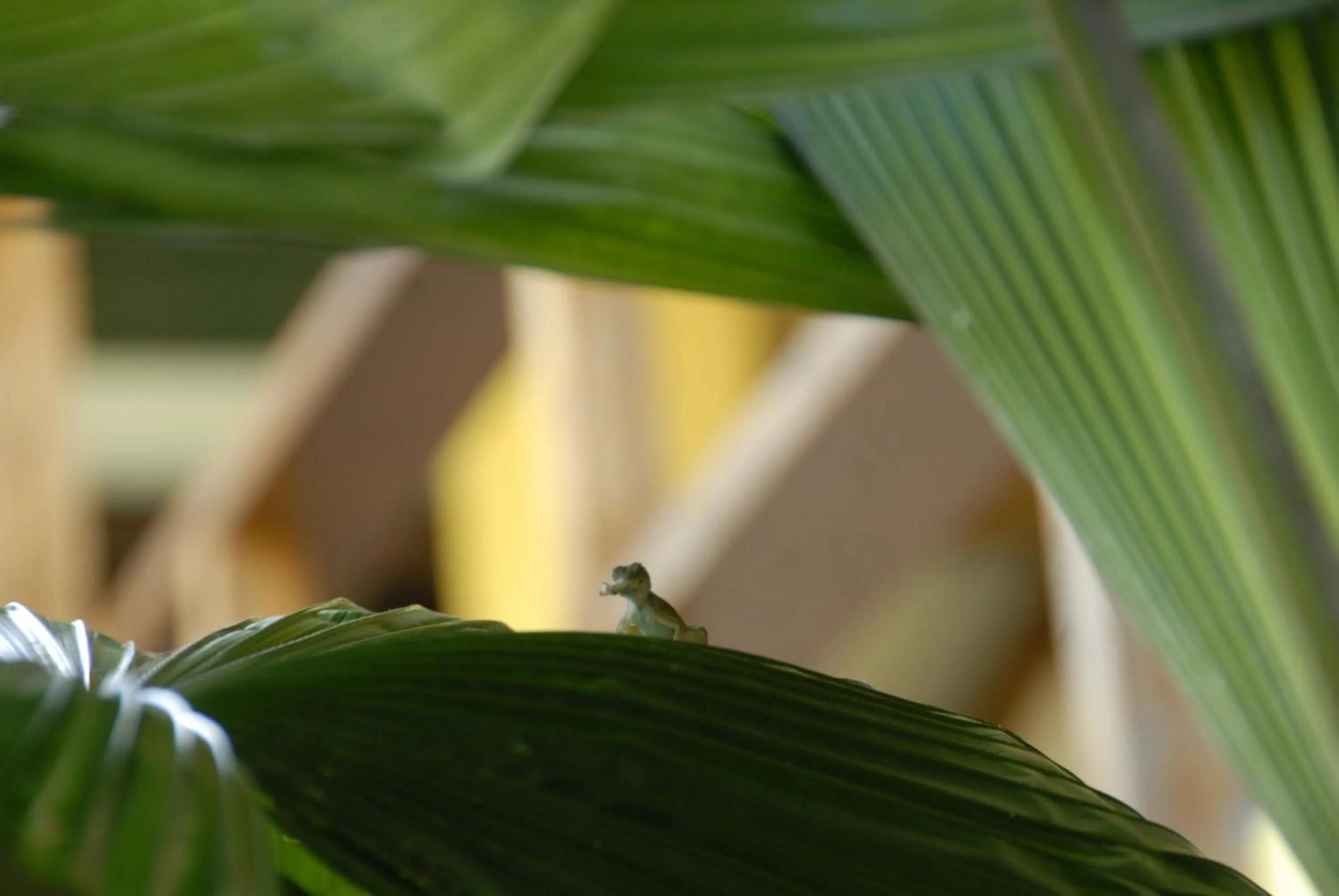 Decorative detail in Hotel Boutique La Casa de las Flores