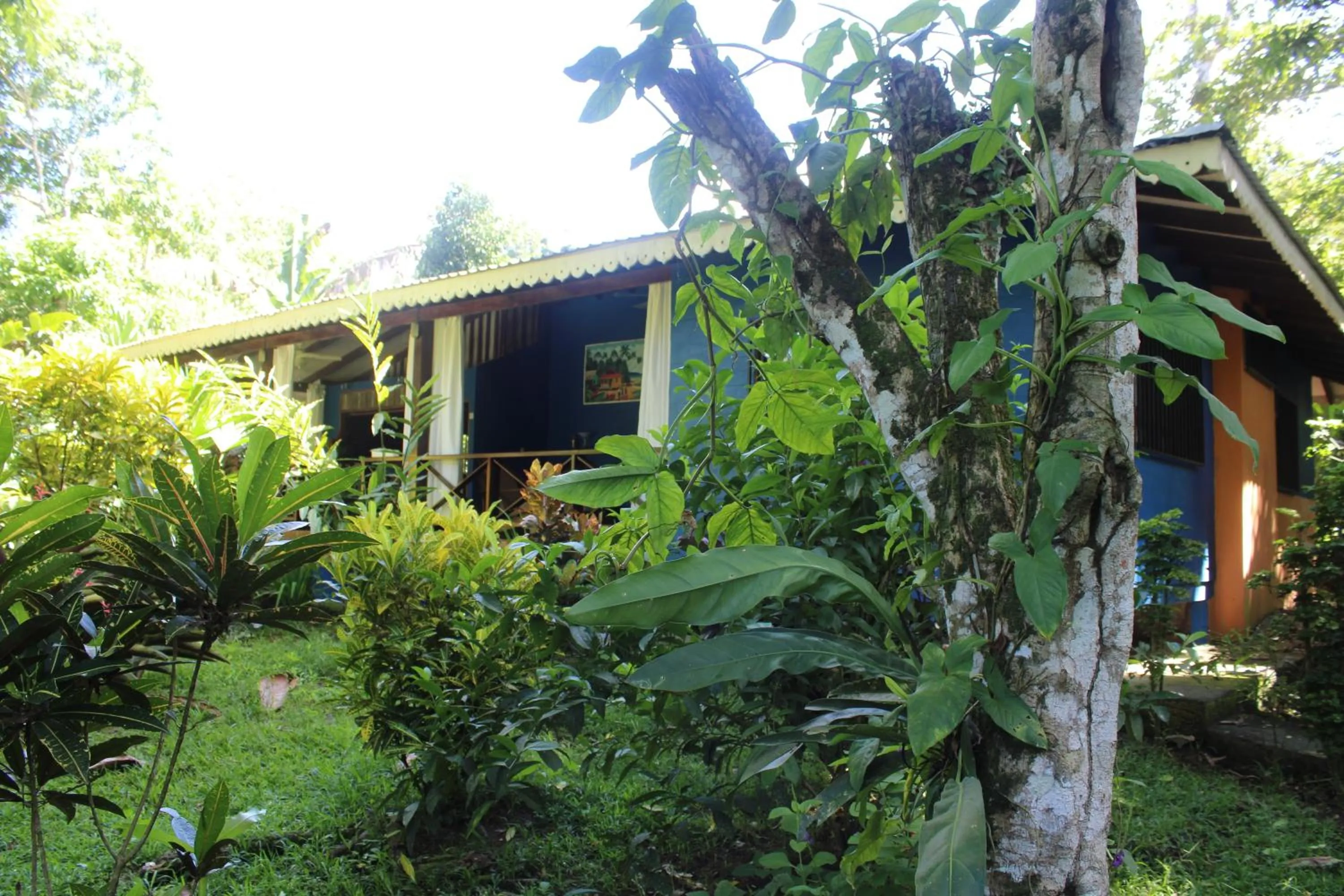 Garden in Hotel Casitas Mar y Luz