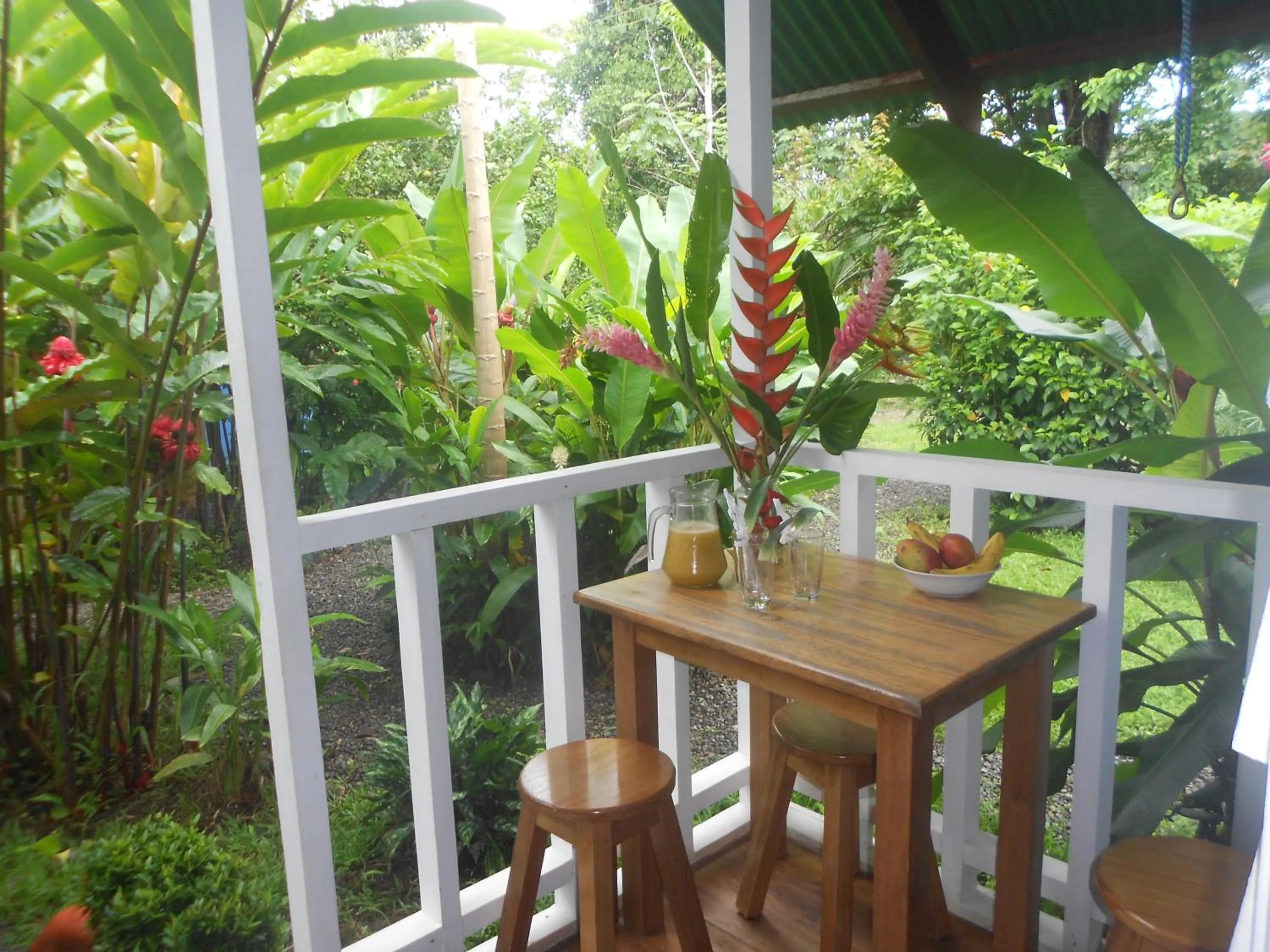 Patio in Hotel Casitas Mar y Luz