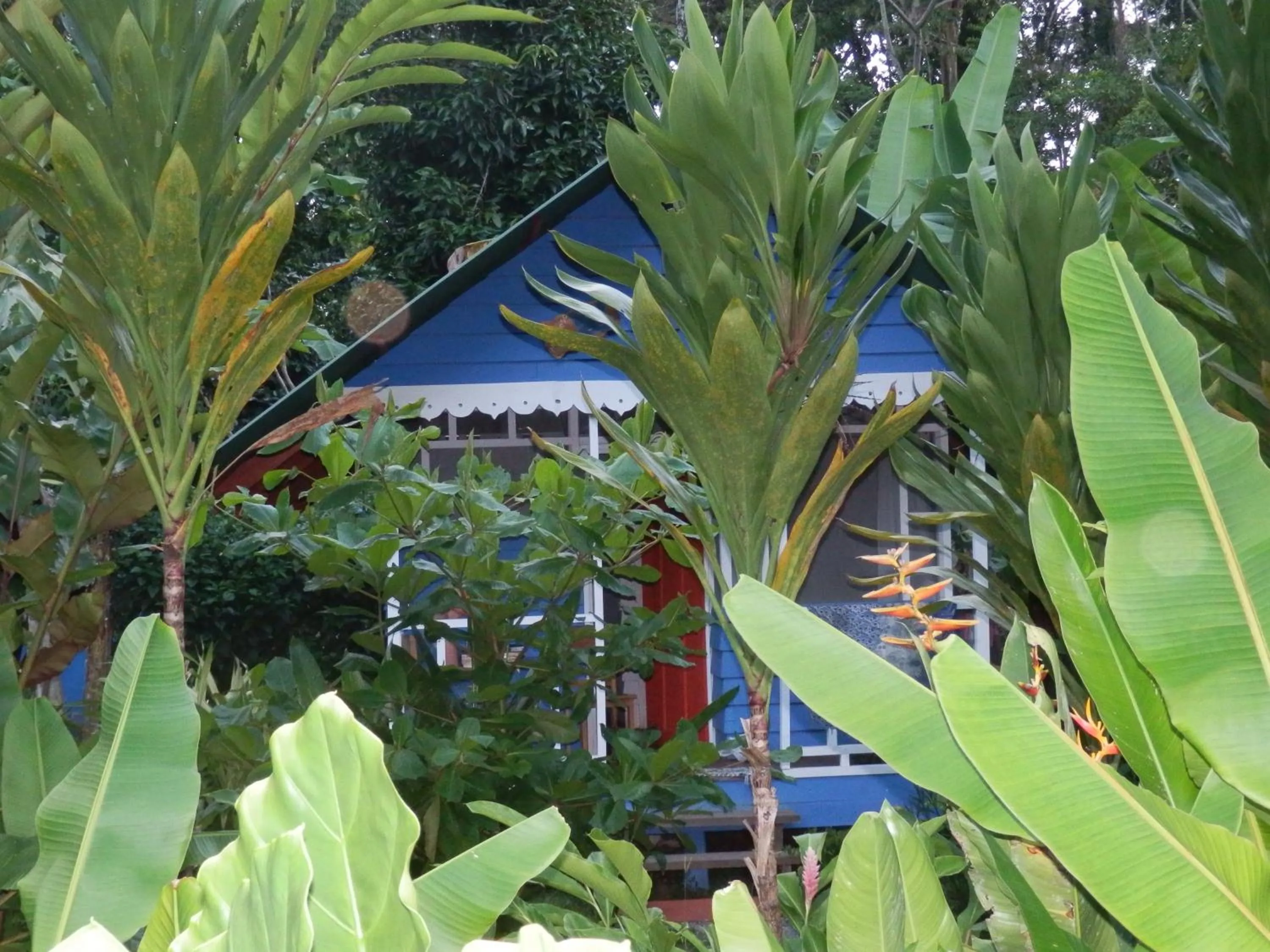 Garden in Hotel Casitas Mar y Luz