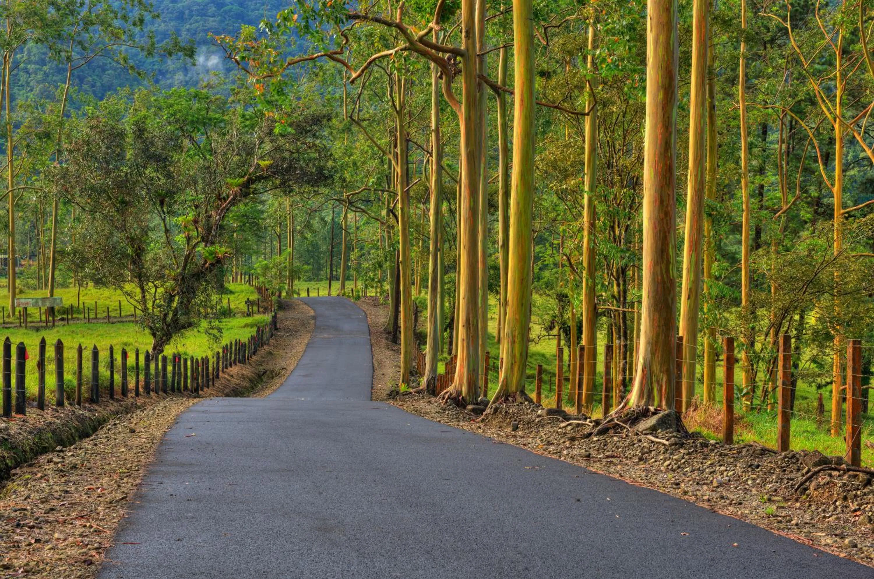 Natural landscape in Arenal Observatory Lodge & Trails