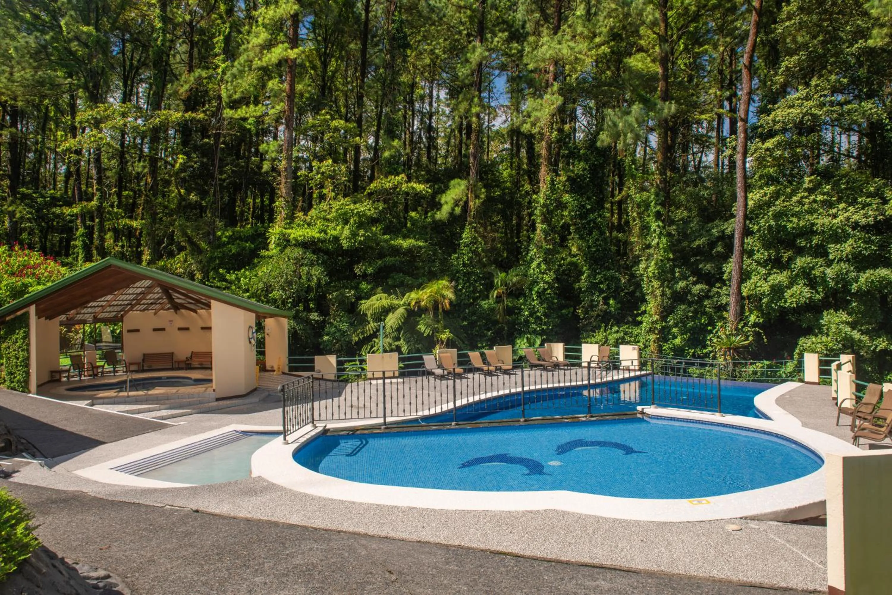 Swimming pool in Arenal Observatory Lodge & Trails