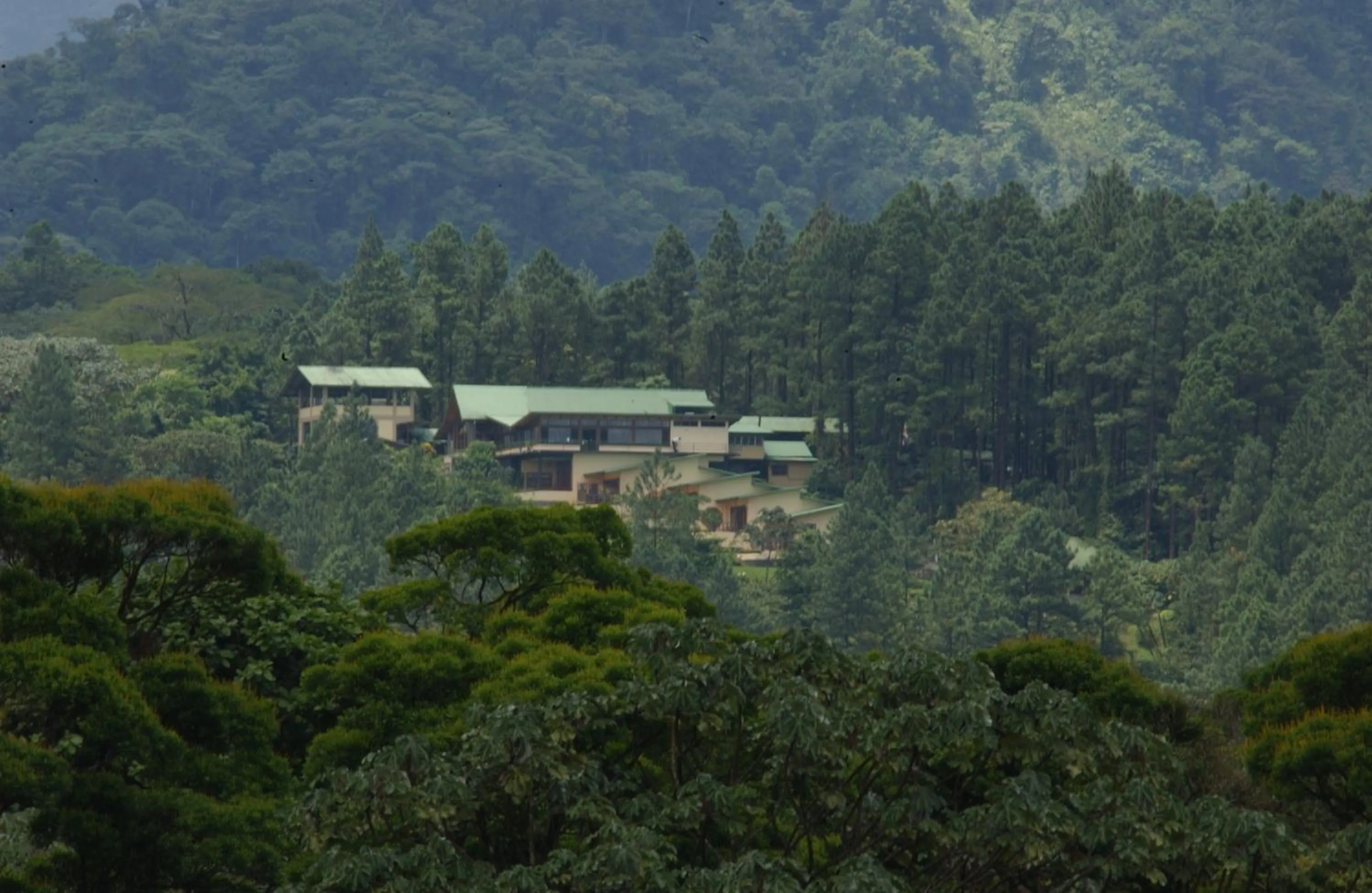 Garden in Arenal Observatory Lodge & Trails