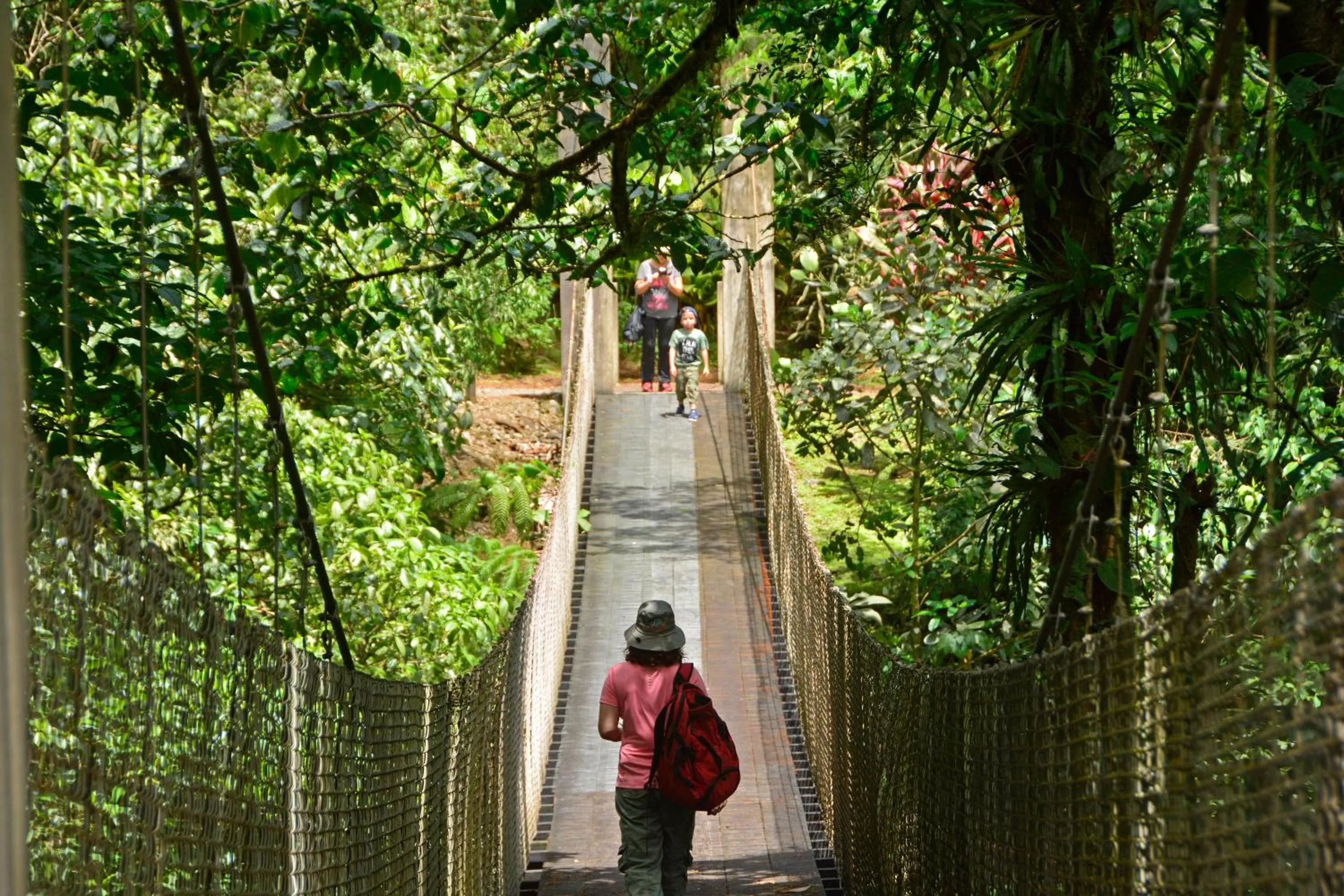 Hiking in Arenal Observatory Lodge & Trails