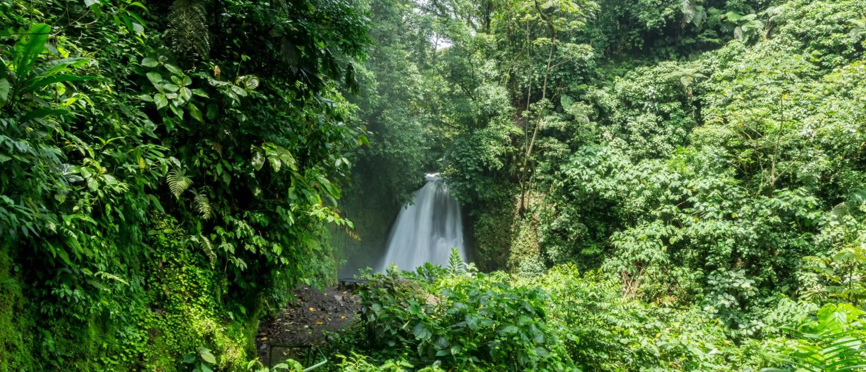 Natural landscape in Arenal Observatory Lodge & Trails