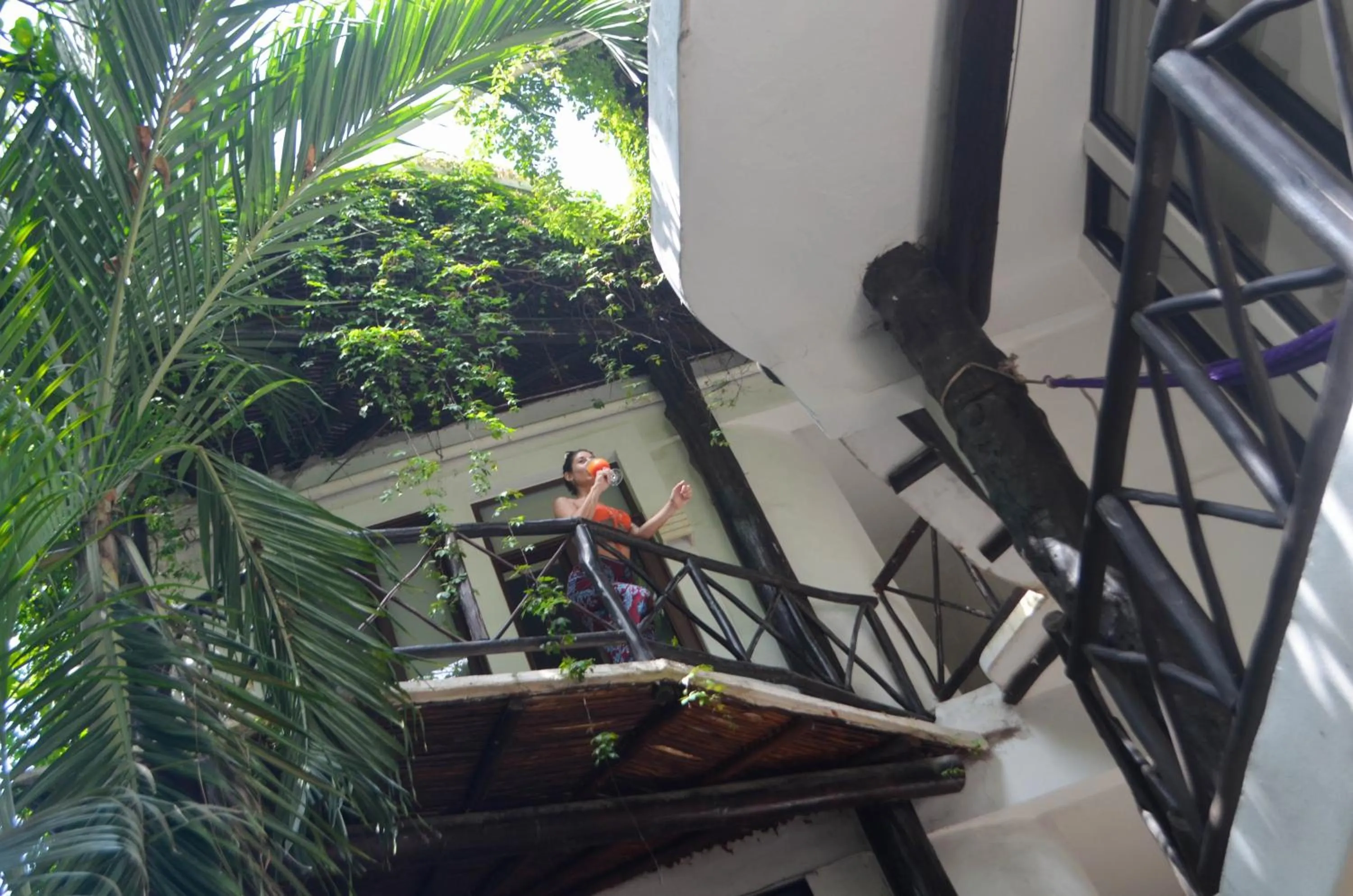 Property building in Siesta Fiesta Hotel Adults Only - 5th Avenue