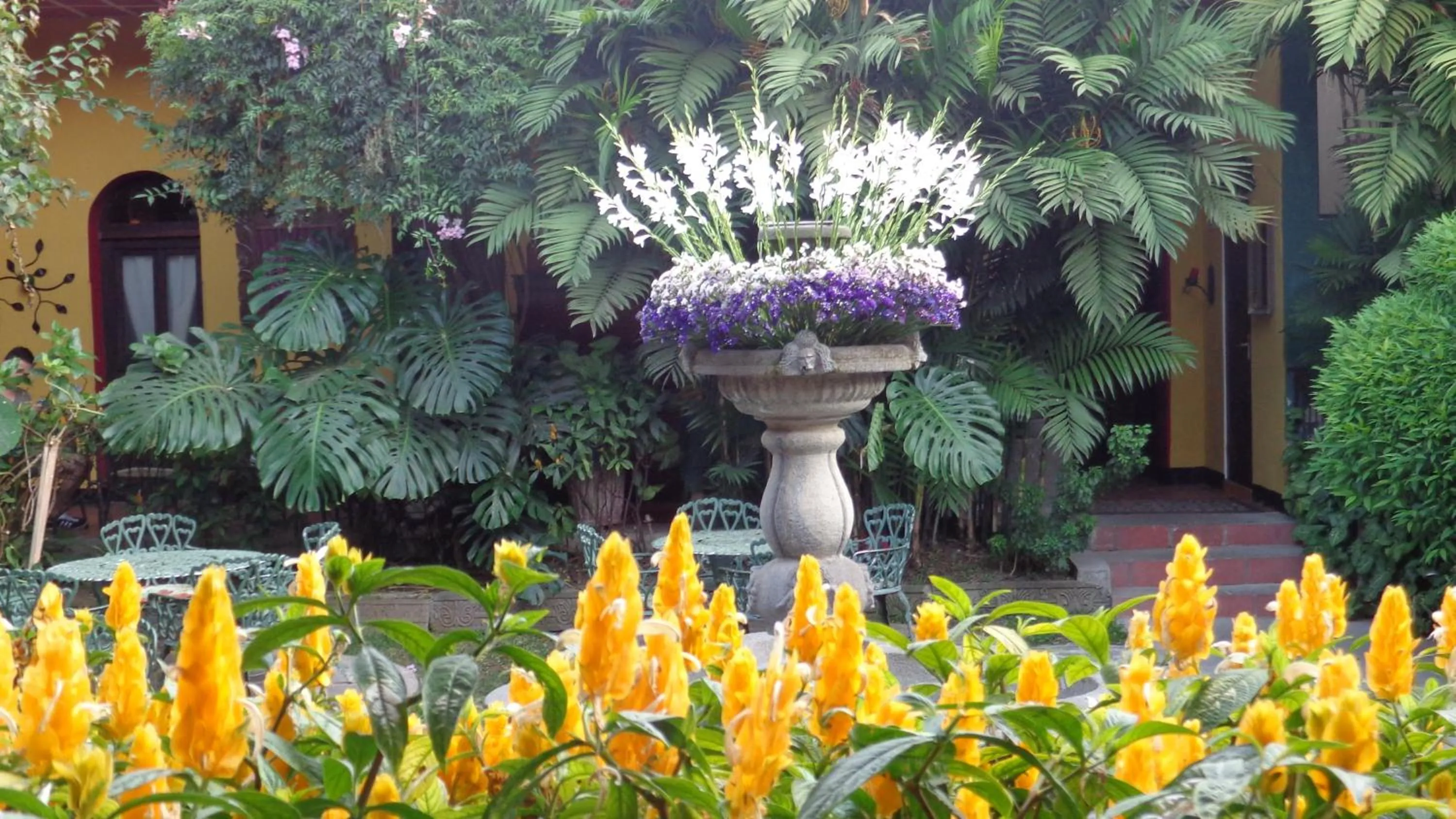 Decorative detail in Hotel Casa Antigua by AHS