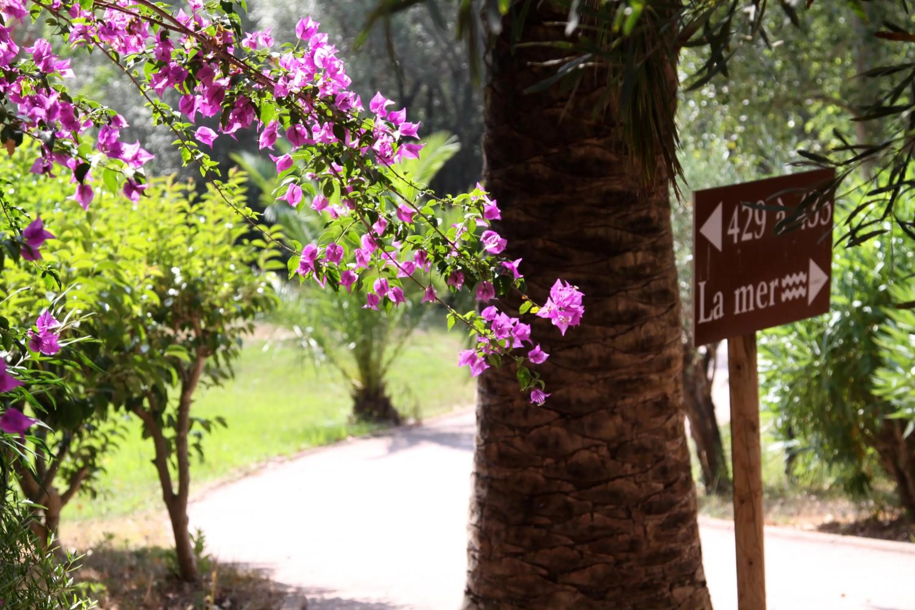 Area and facilities in Residence Castell'Verde