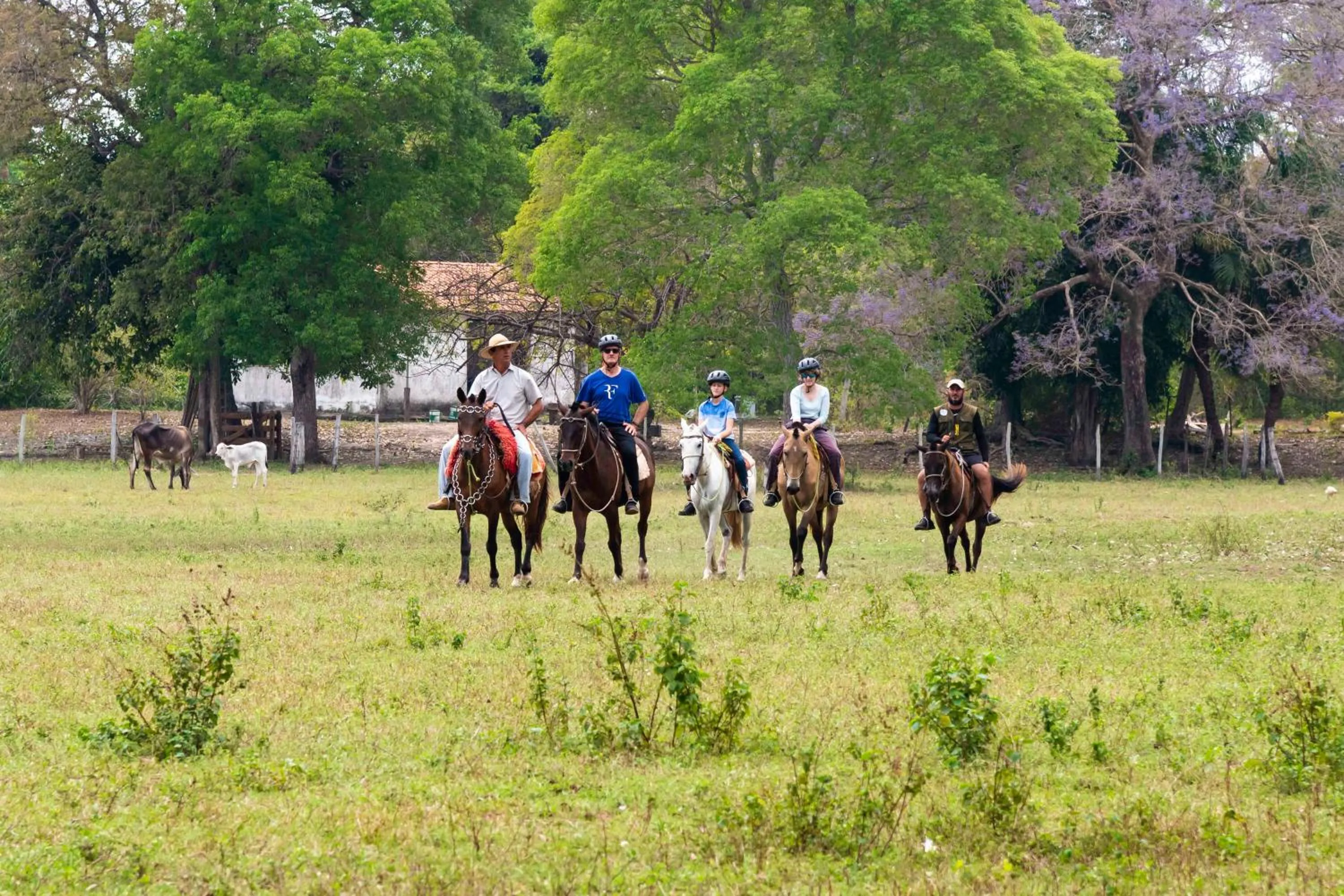 Activities in Pousada Fazenda Xaraés