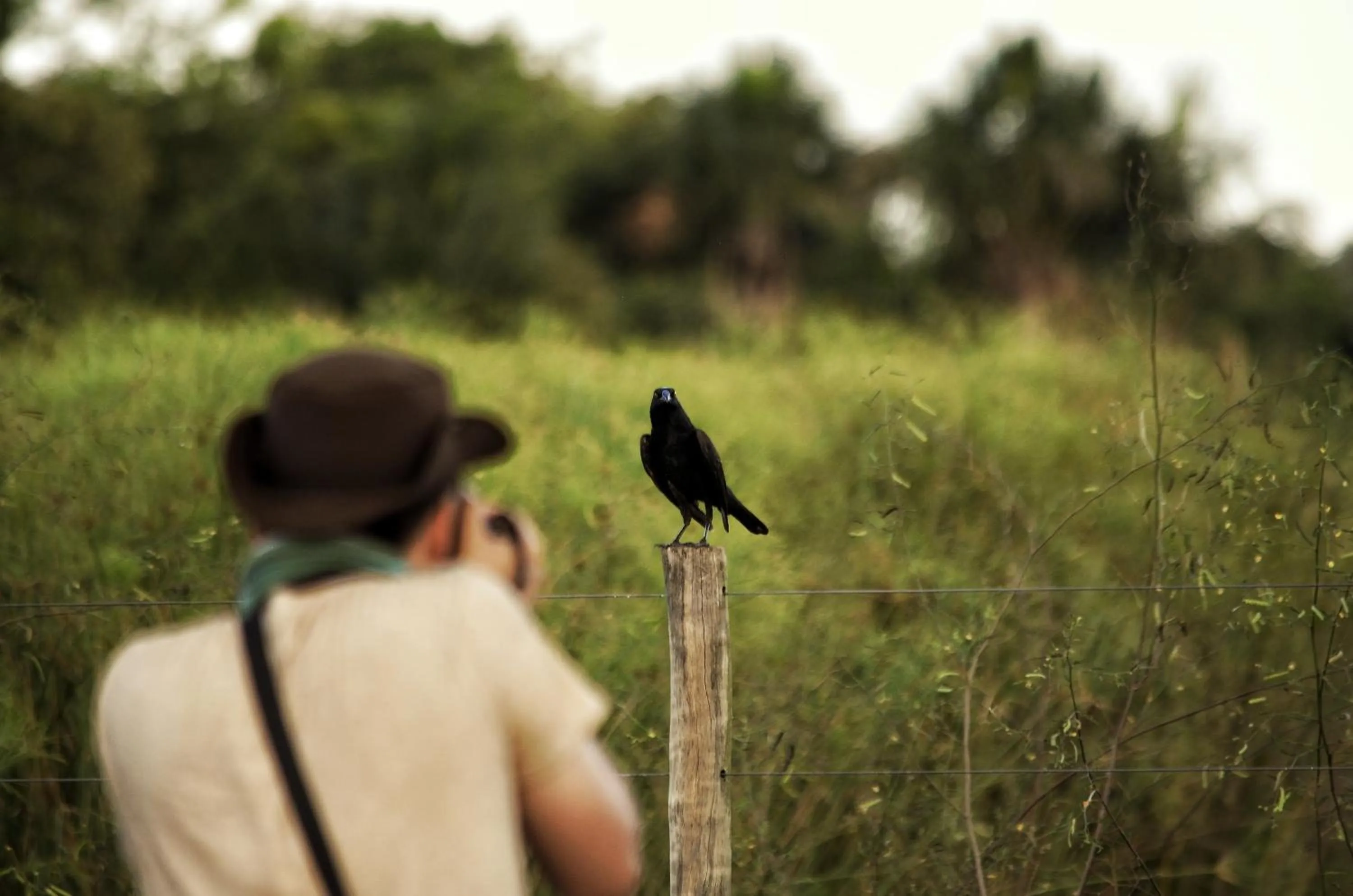 Activities in Pousada Fazenda Xaraés