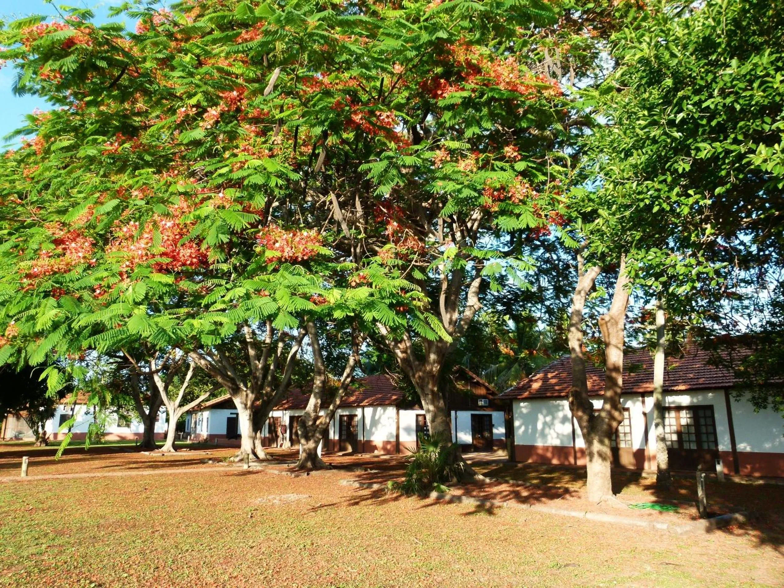 Property building in Pousada Fazenda Xaraés
