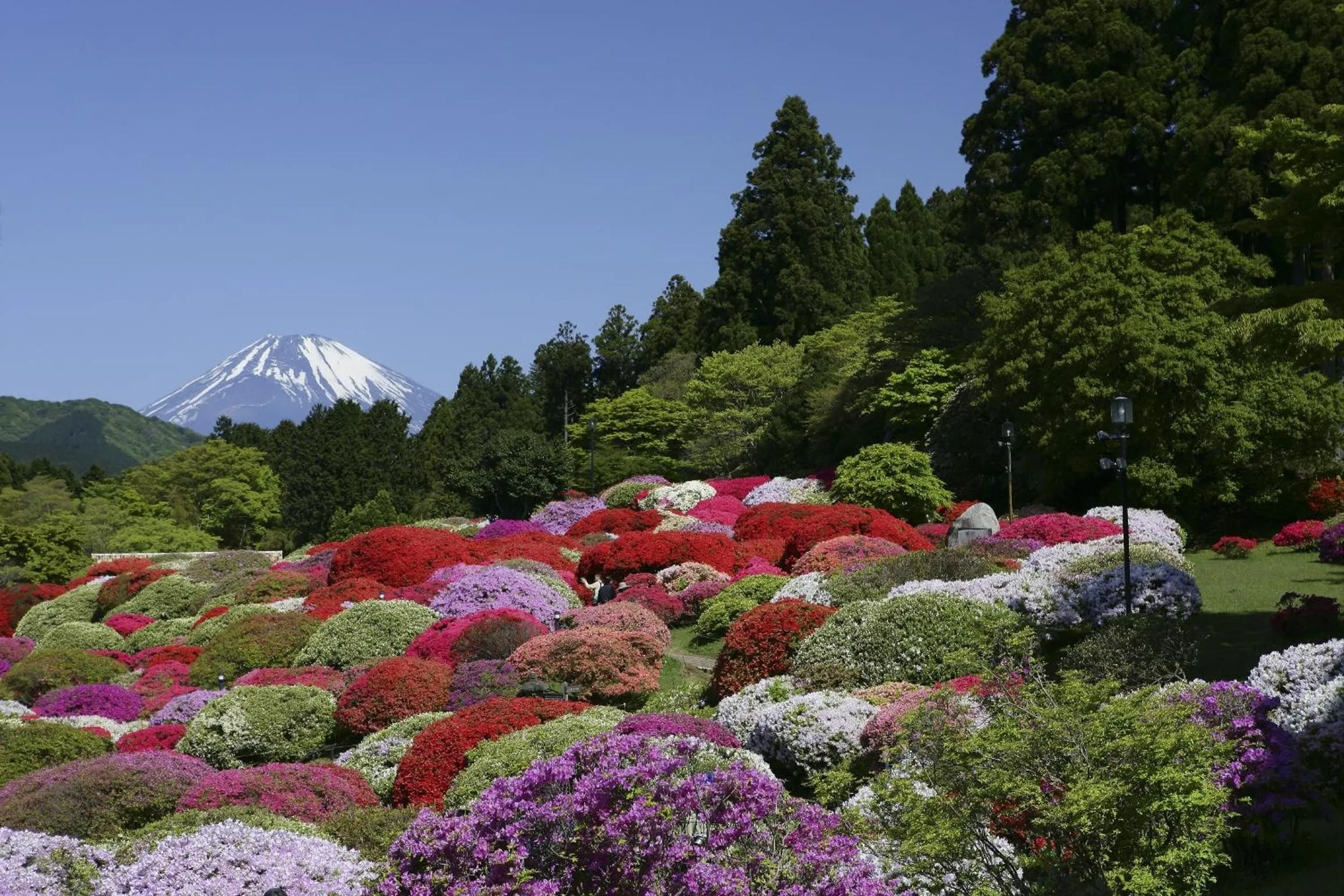 Area and facilities in Odakyu Hotel de Yama